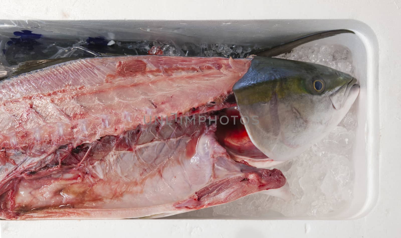 Close-up of fresh filleted fish in a Japanese market