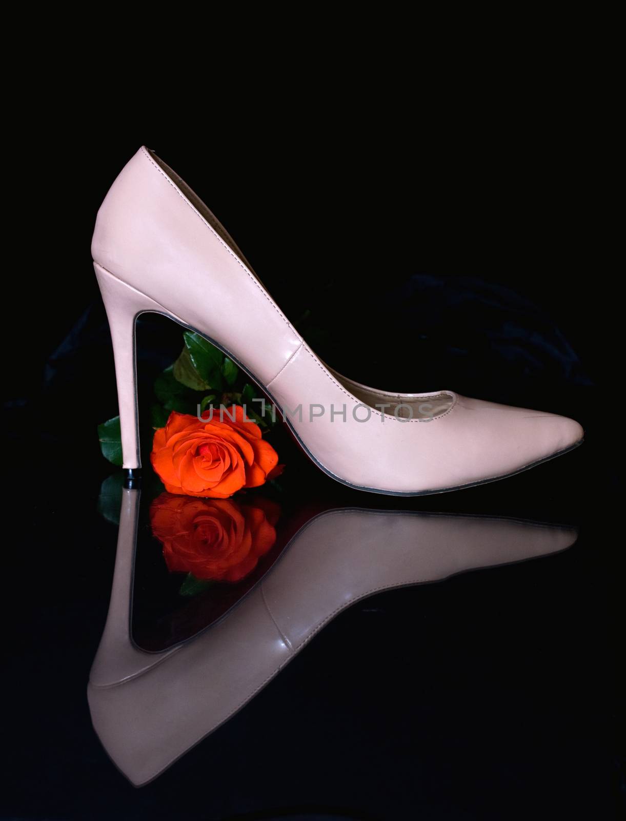 One reflected red rose and one high heeled sexy shoes.