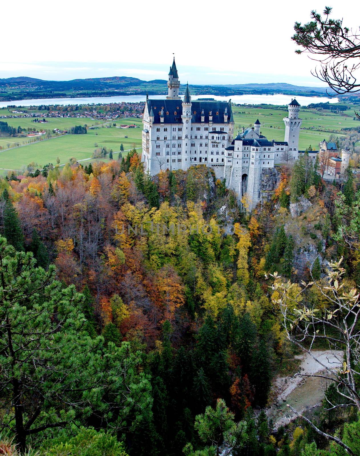 Castle of Neuschwanstein near Munich in Germany on an autumn day by anderm