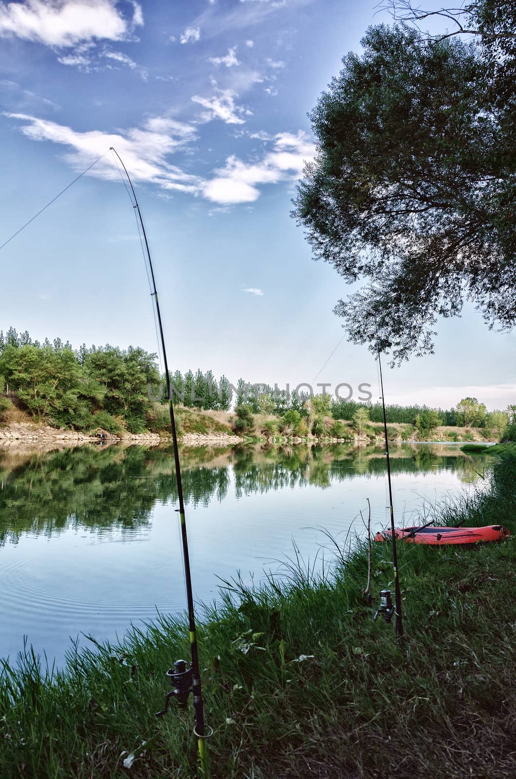 Beautiful evening at the river in Spain