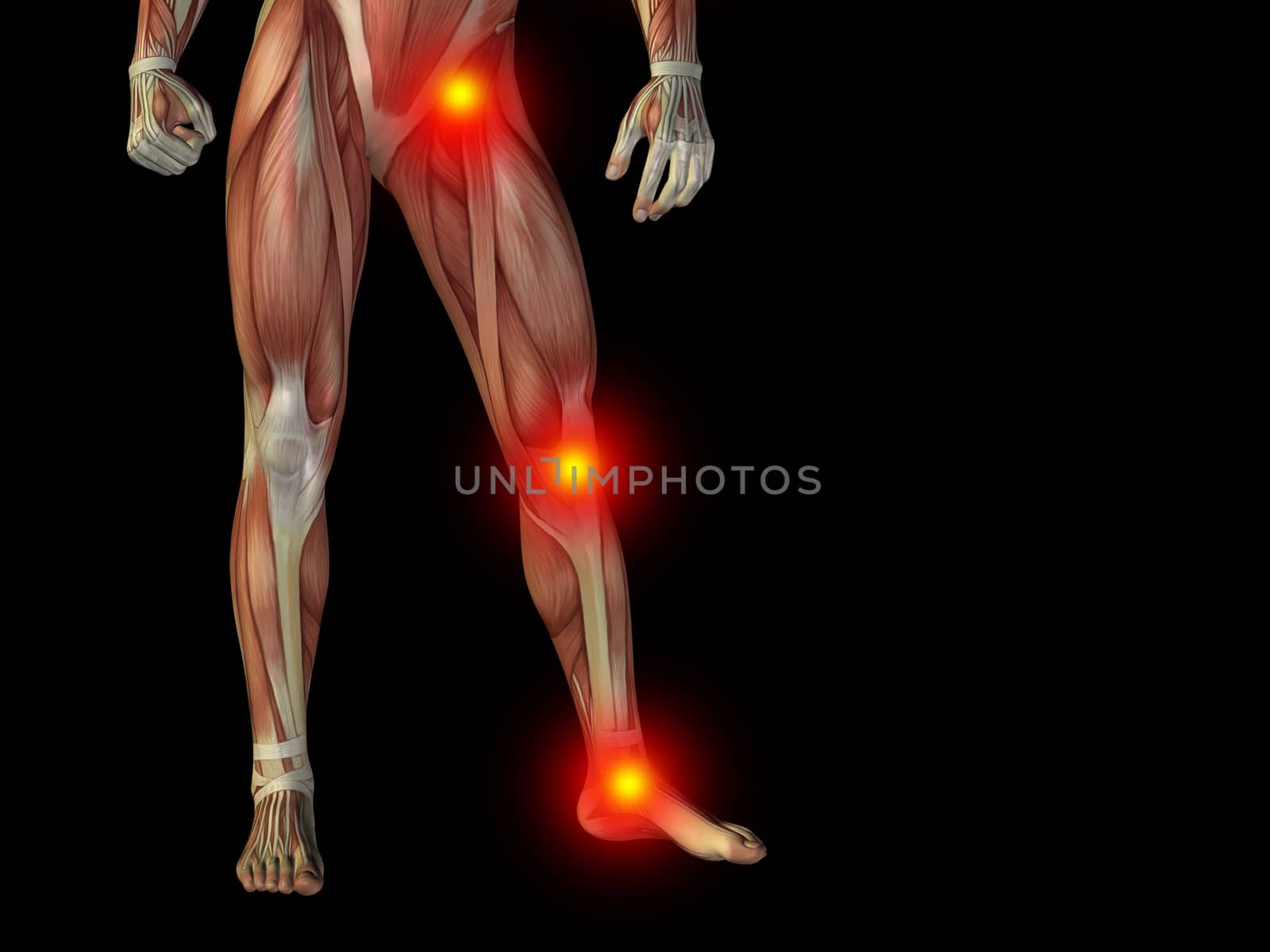 Conceptual human body anatomy articular pain on isolated on black background