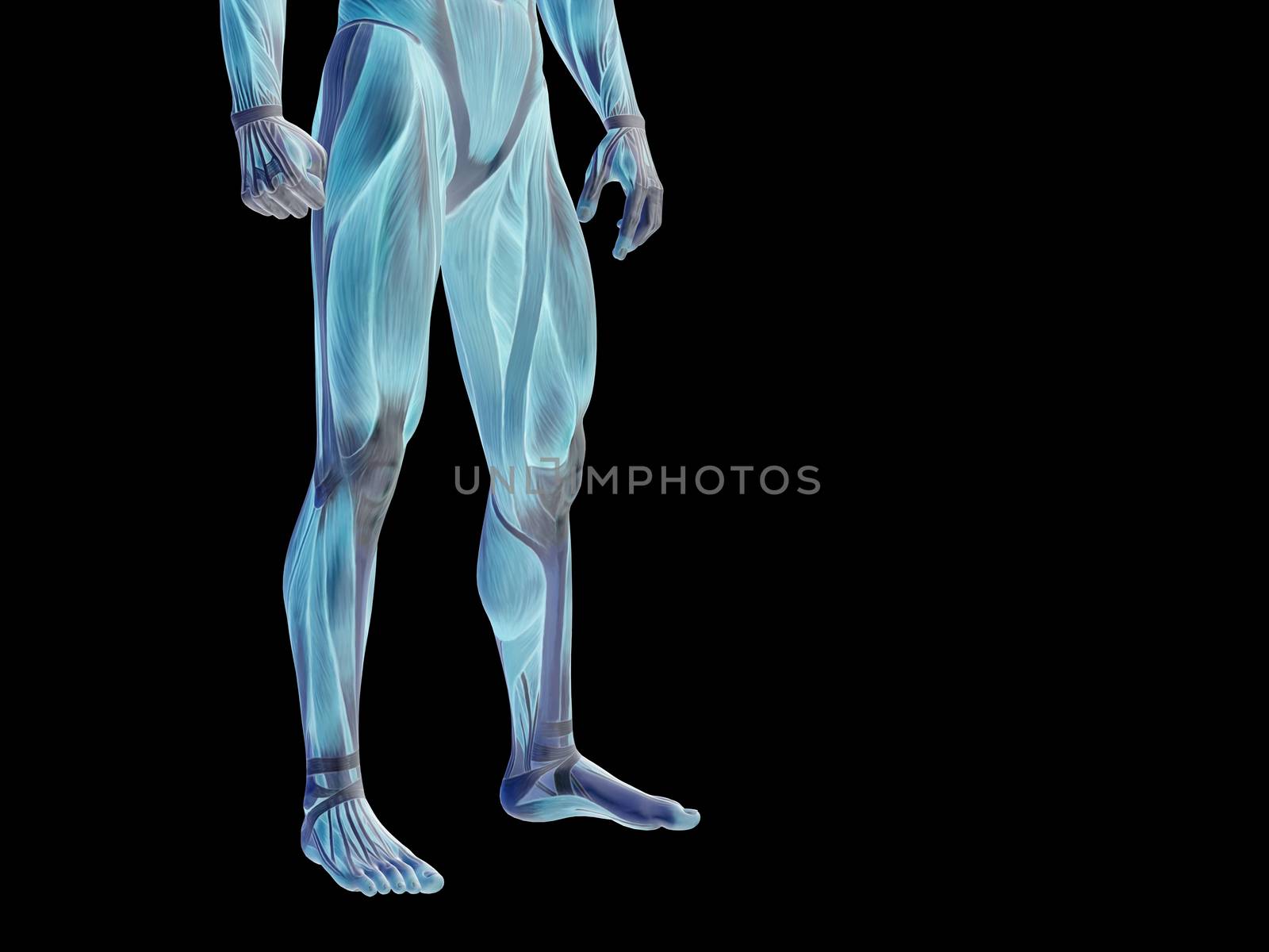 Conceptual human body anatomy isolated on black background
