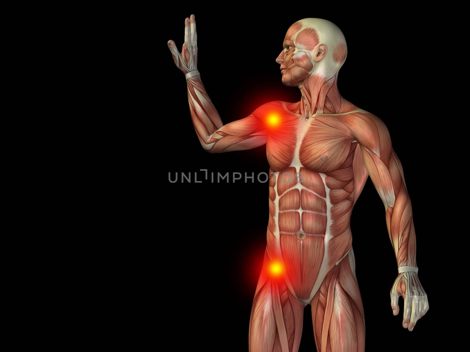 Conceptual human body anatomy articular pain on isolated on black background