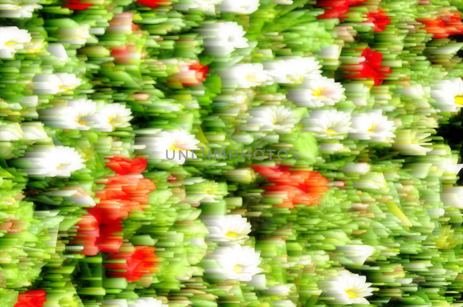 Abstract blurred background colorful floral on natural.