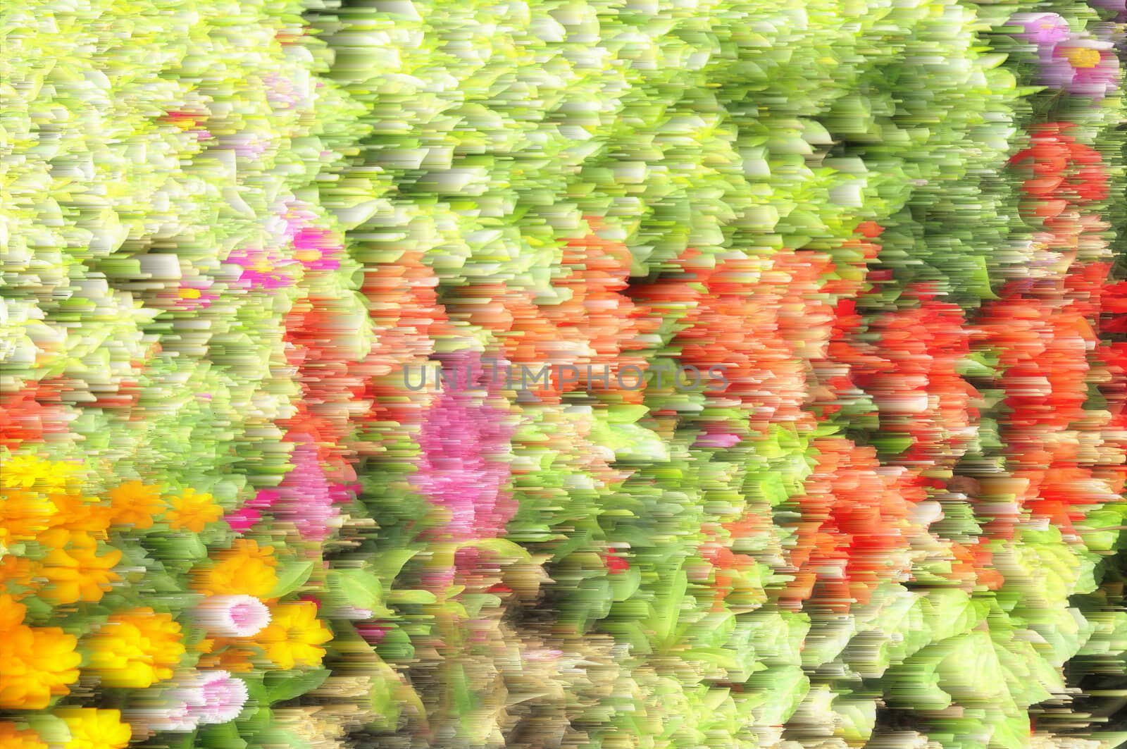 Abstract blurred background colorful floral on natural.