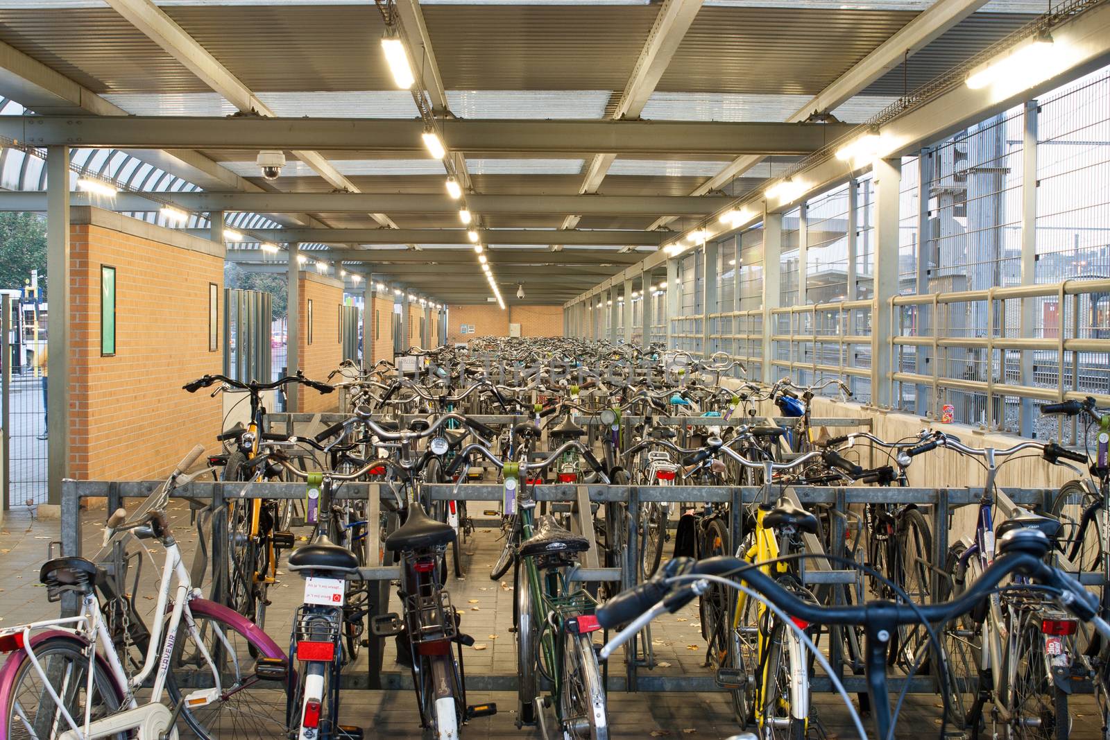 Abandoned bicycles lot parking 