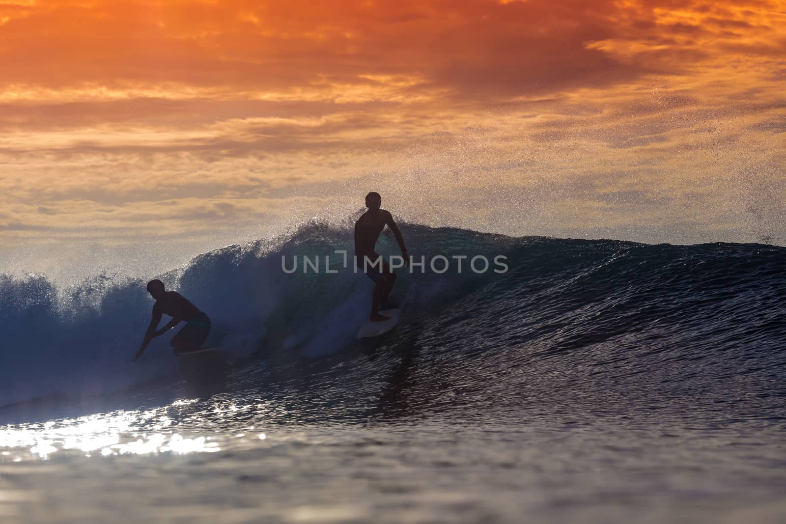 Surfer on Amazing Wave at sunset time, Bali island.