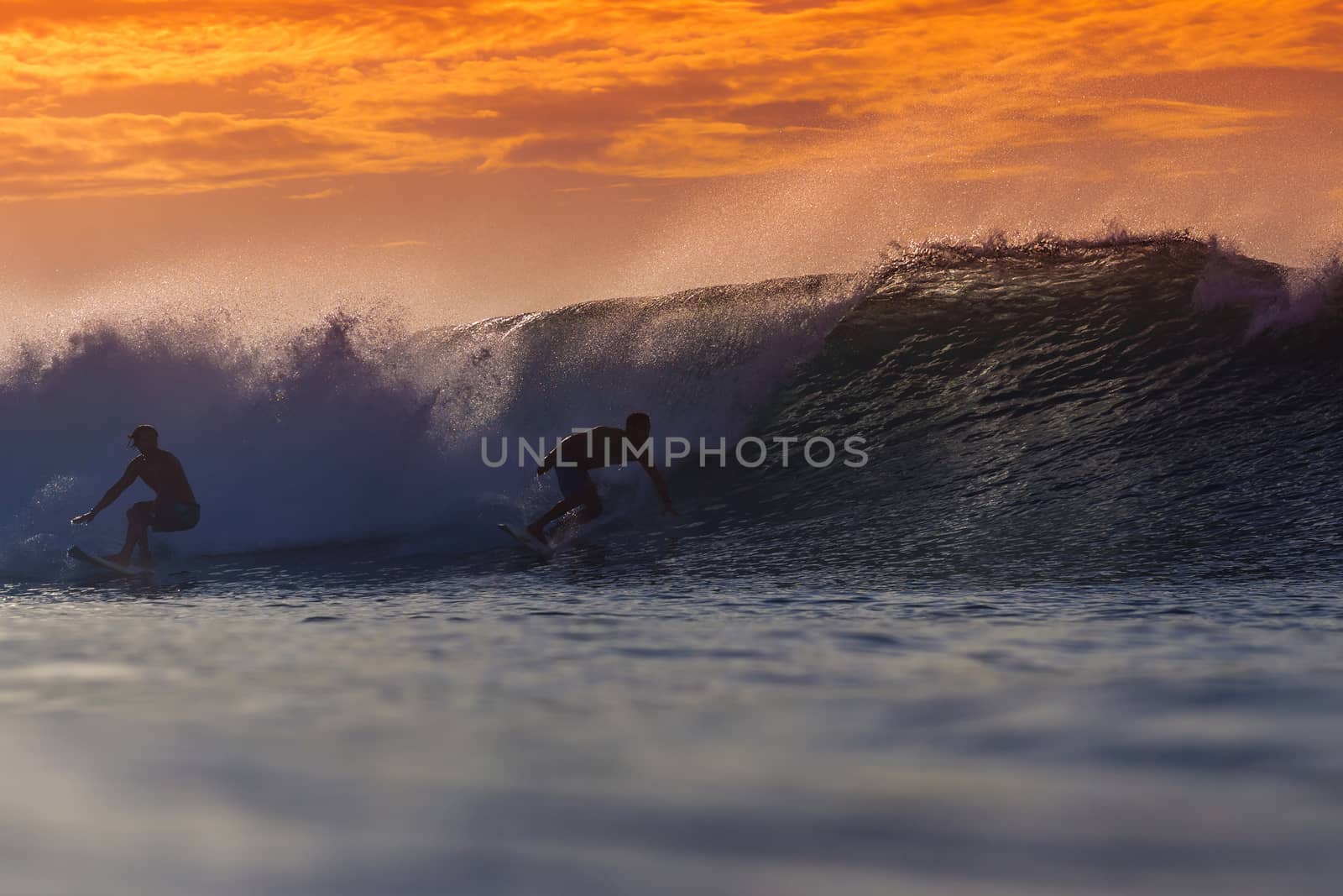 Surfer on Amazing Wave at sunset time, Bali island.