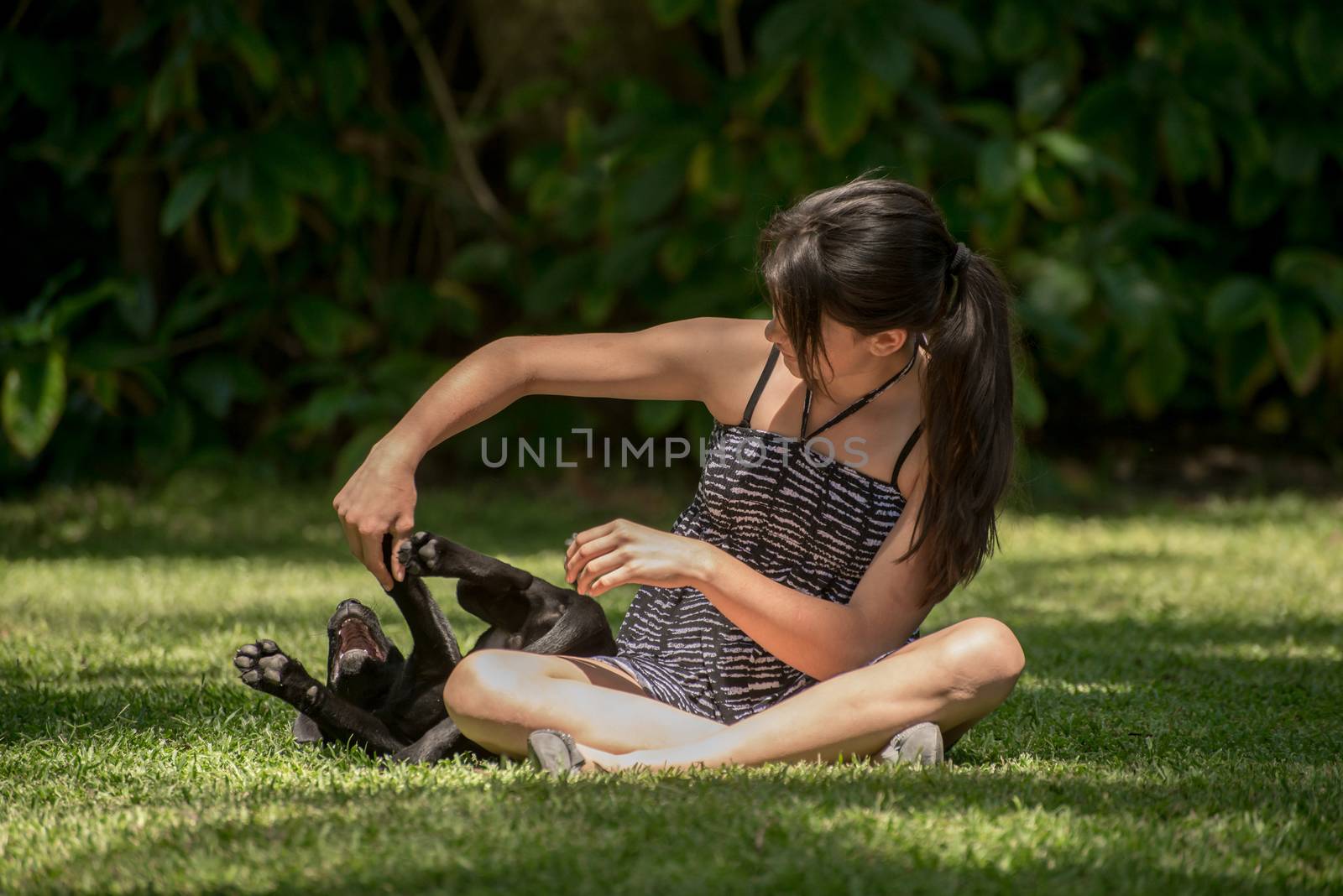 A teenage girl plays with her Labrador puppy outside on the lawn of their garden.