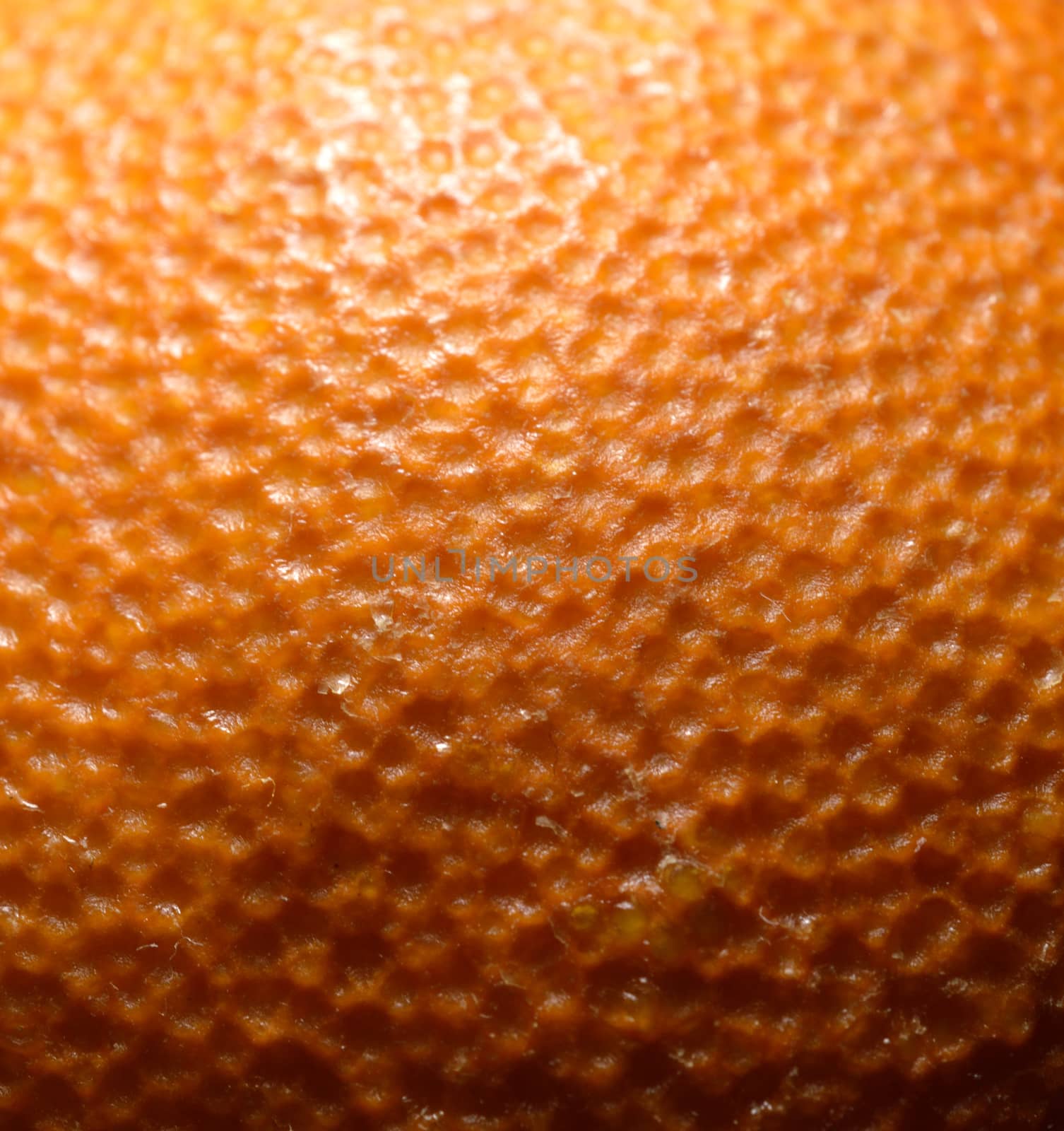 Orange peel with  macro developed