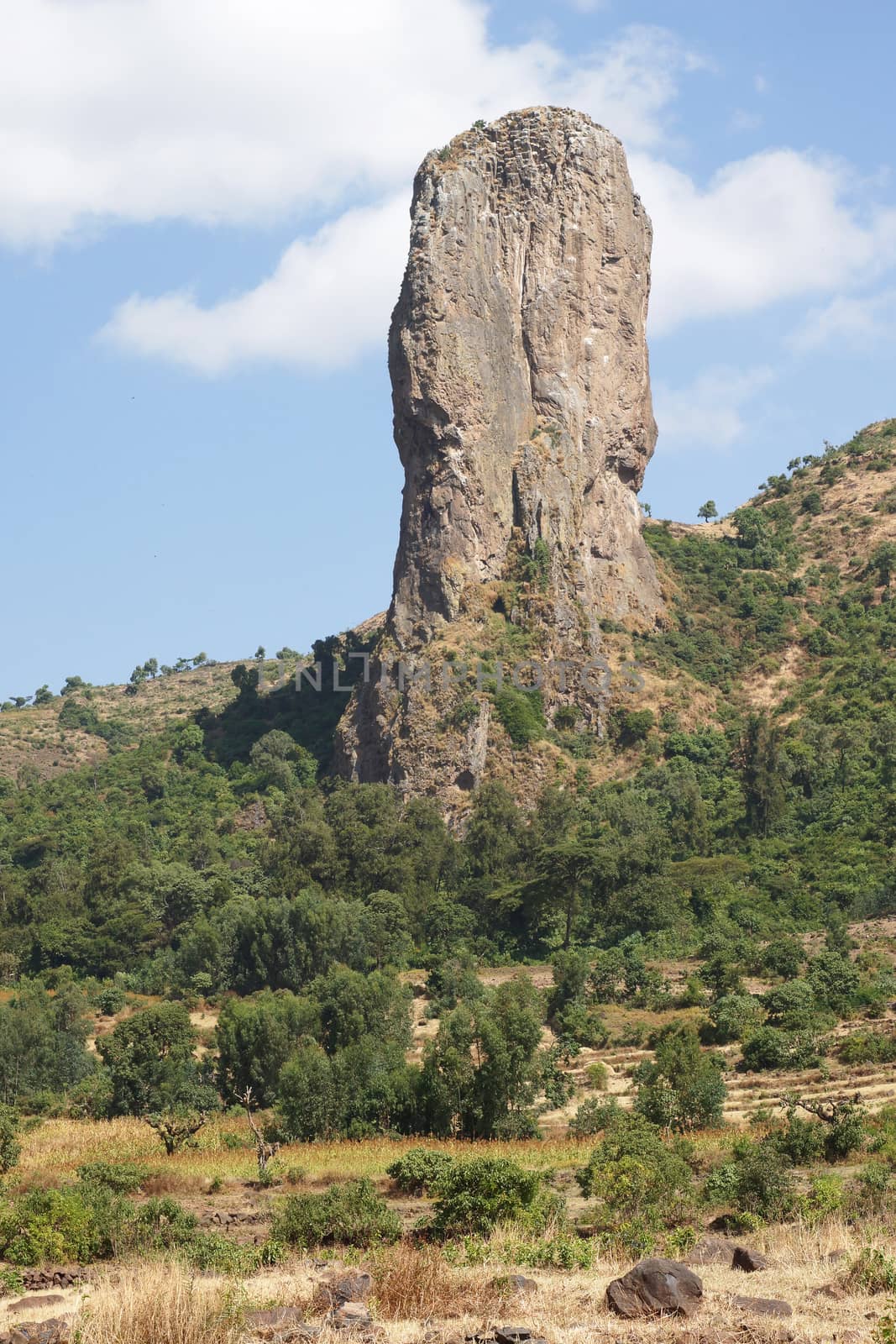 Vultures rock, Ethiopia, Africa by alfotokunst