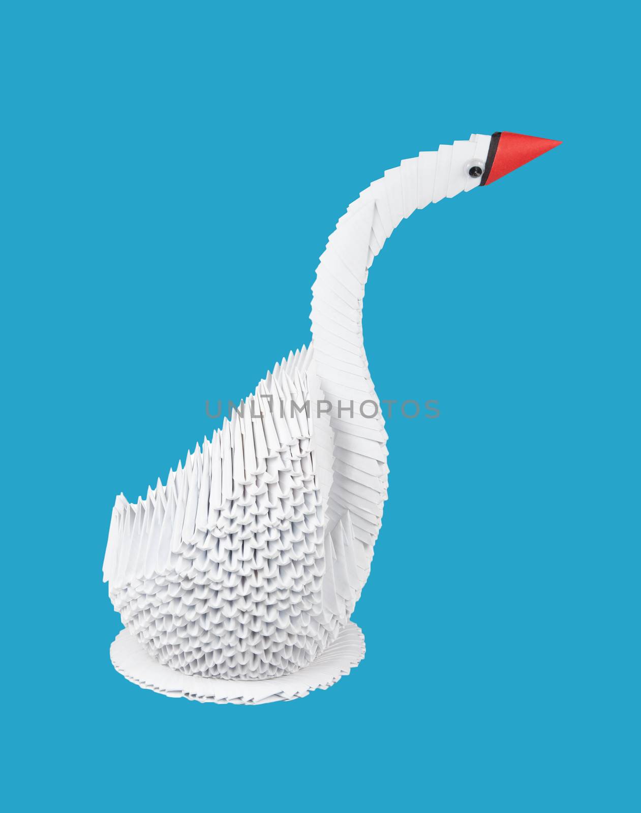 white swan isolated on a blue background. figure of bird from a paper