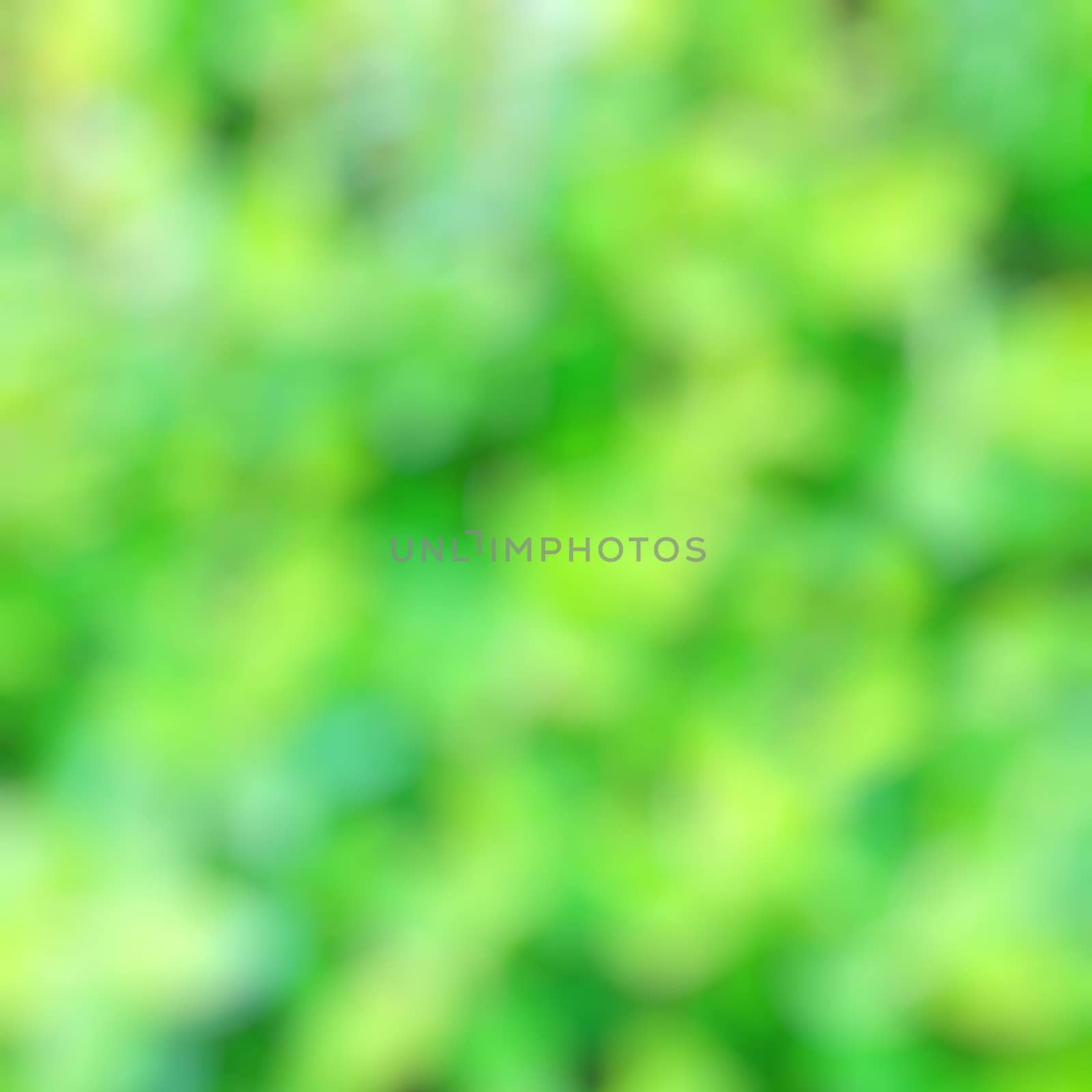 Abstract and Blurred Greenery Background of Nature