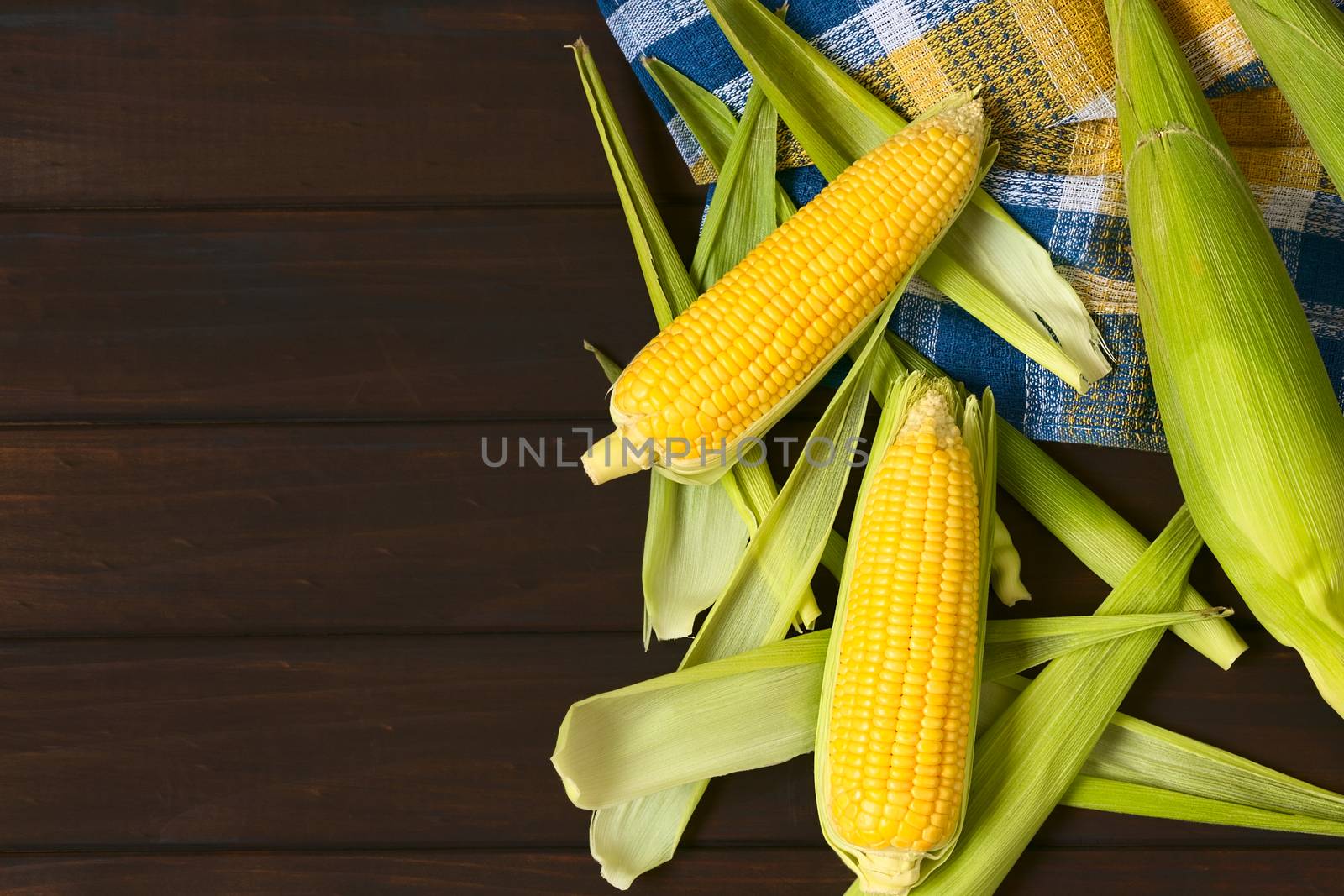 Overhead shot of raw sweet corn cobs photographed on dark wood with natural light
