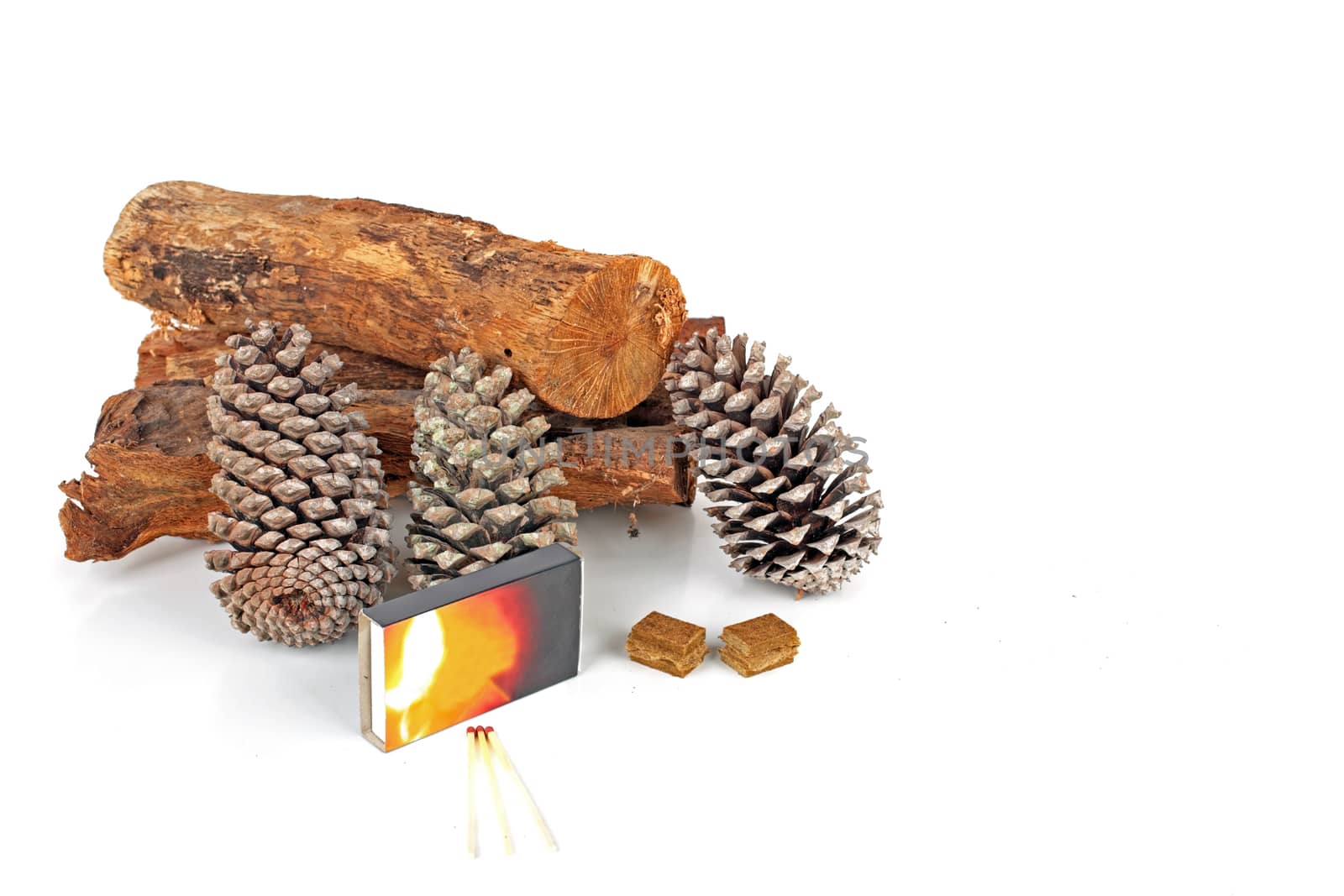 Wood, pineapple cones and matches for making the fire