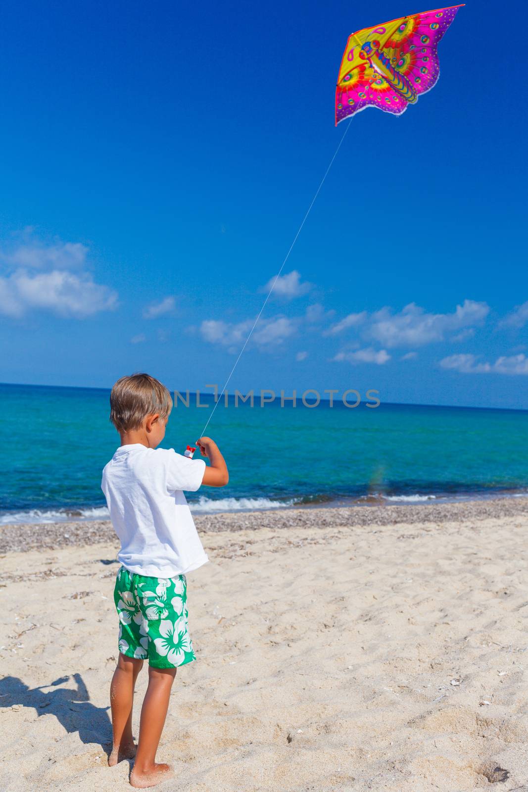 Summer vacation - Cute boy flying kite beach outdoor.