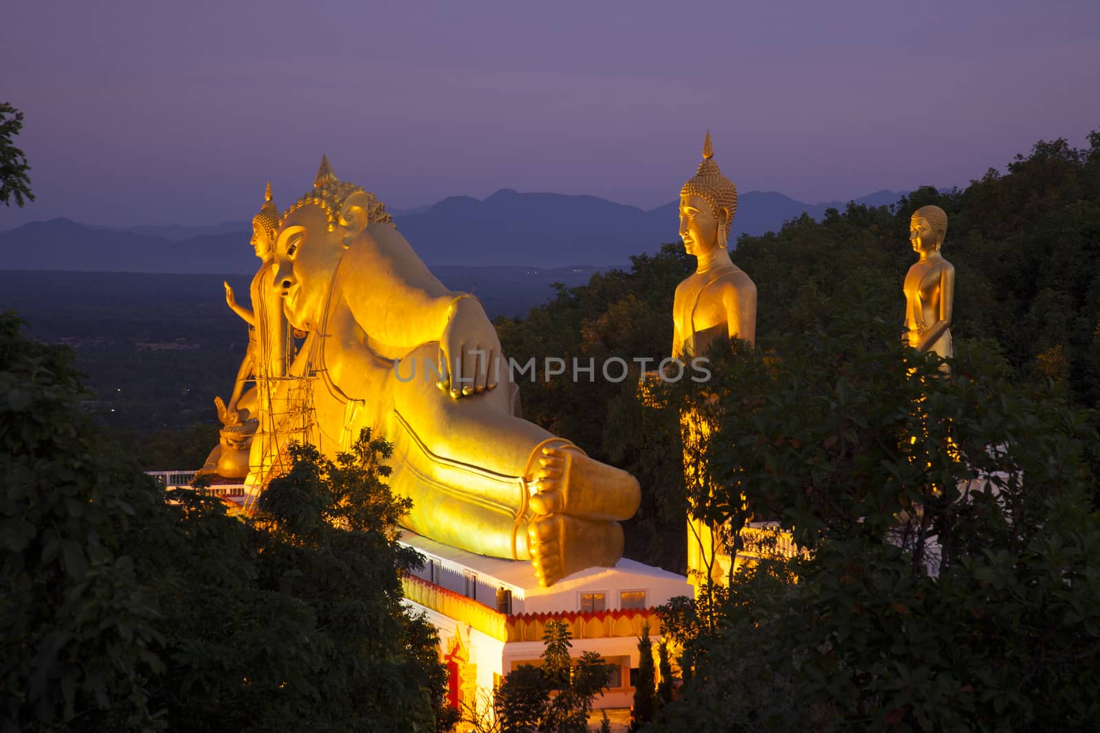 Net Buddhist temple Moakler Callan Park Dist.