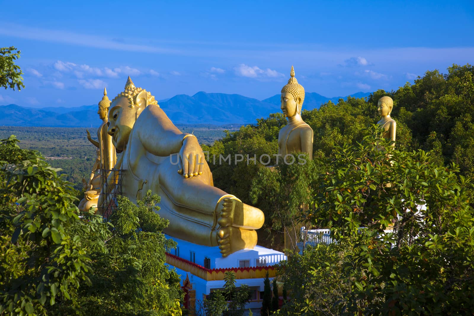 Net Buddhist temple Moakler Callan Park Dist.