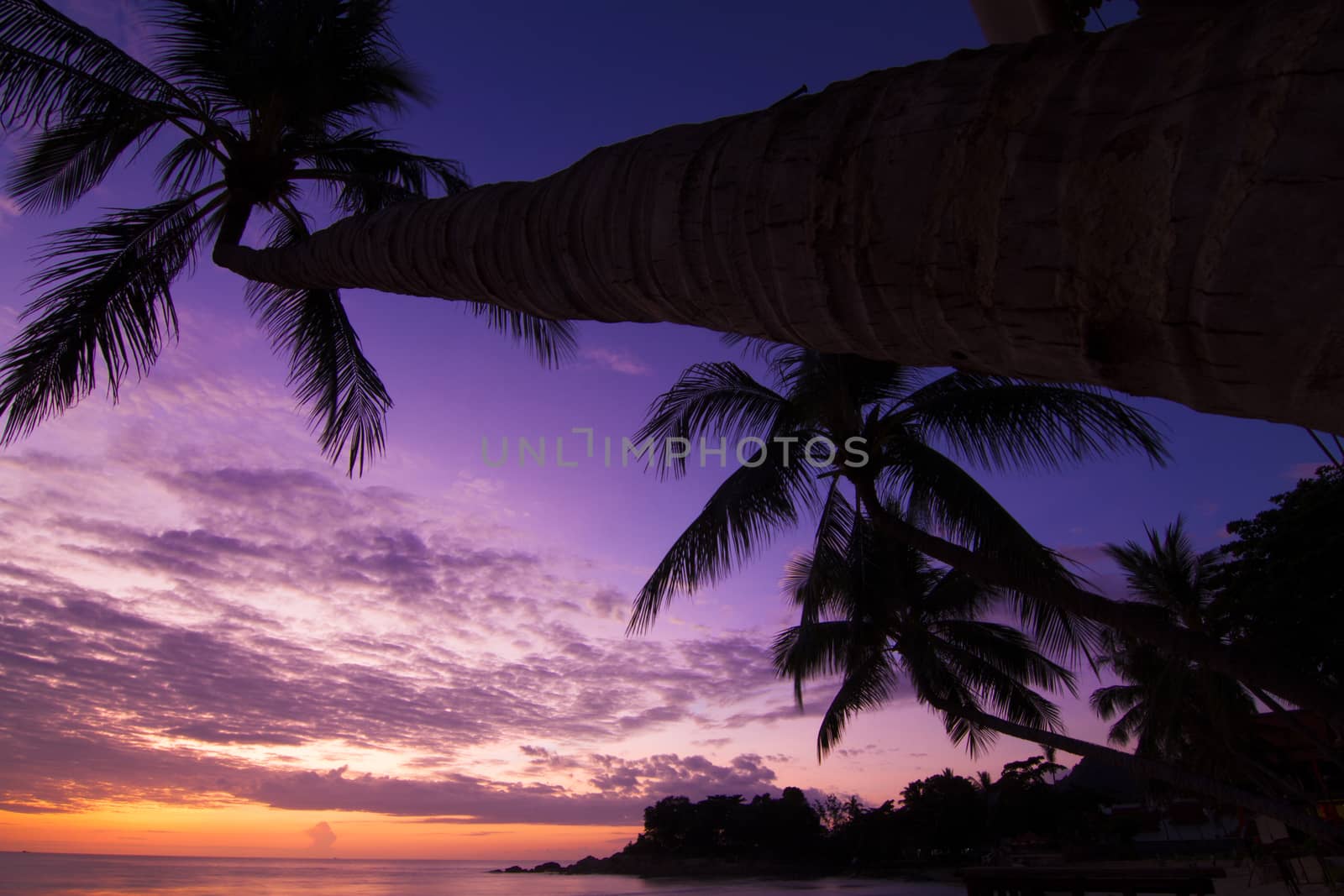 Chaweng Beach Koh Samui surat thani Thailand.