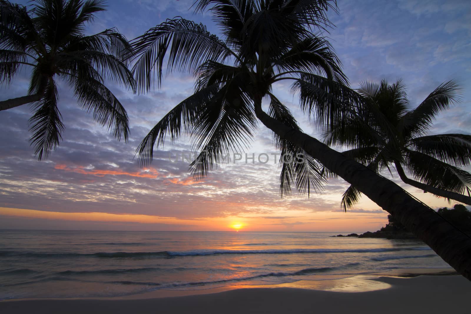 Chaweng Beach Koh Samui surat thani Thailand.