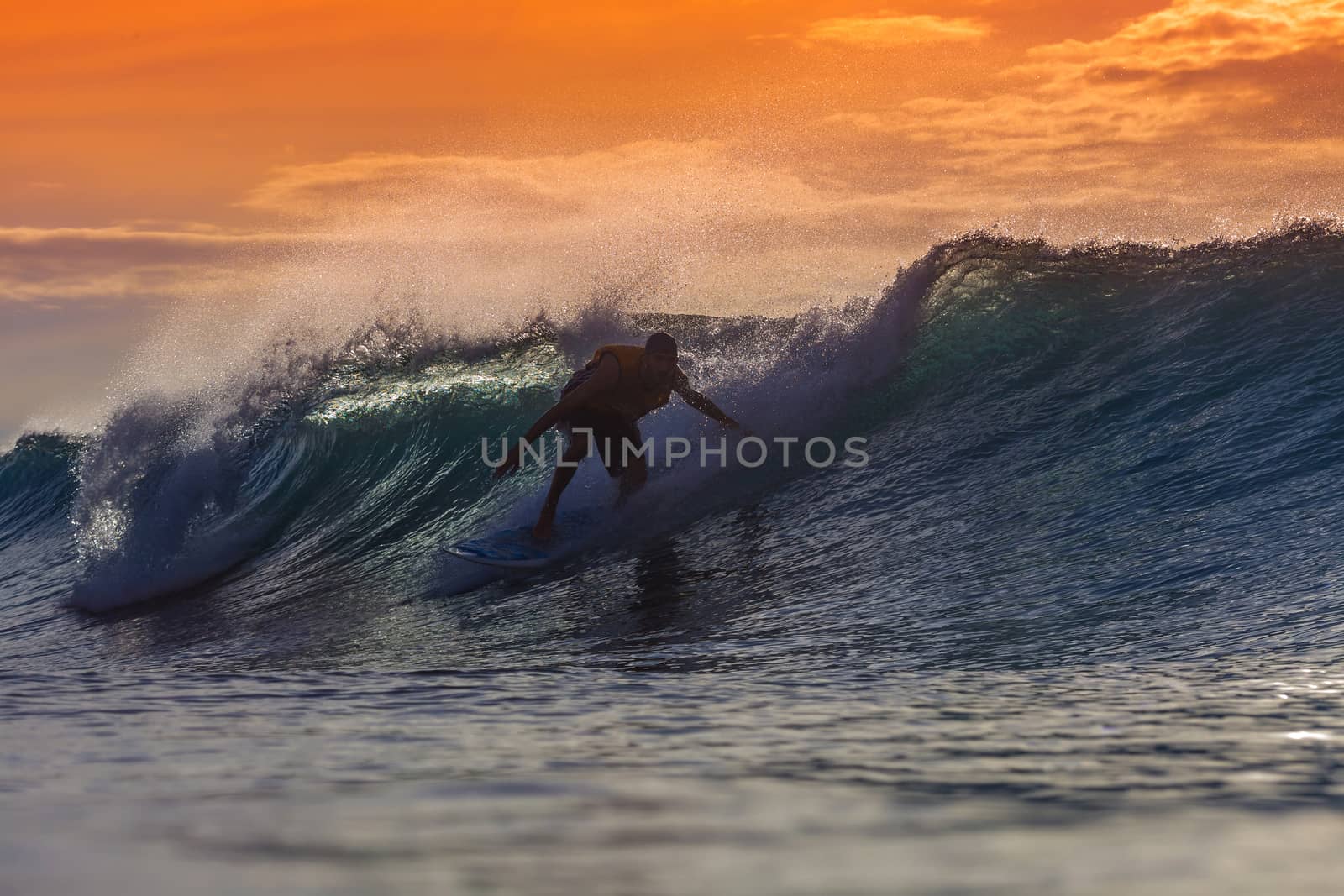 Surfer on Amazing Wave at sunset time, Bali island.