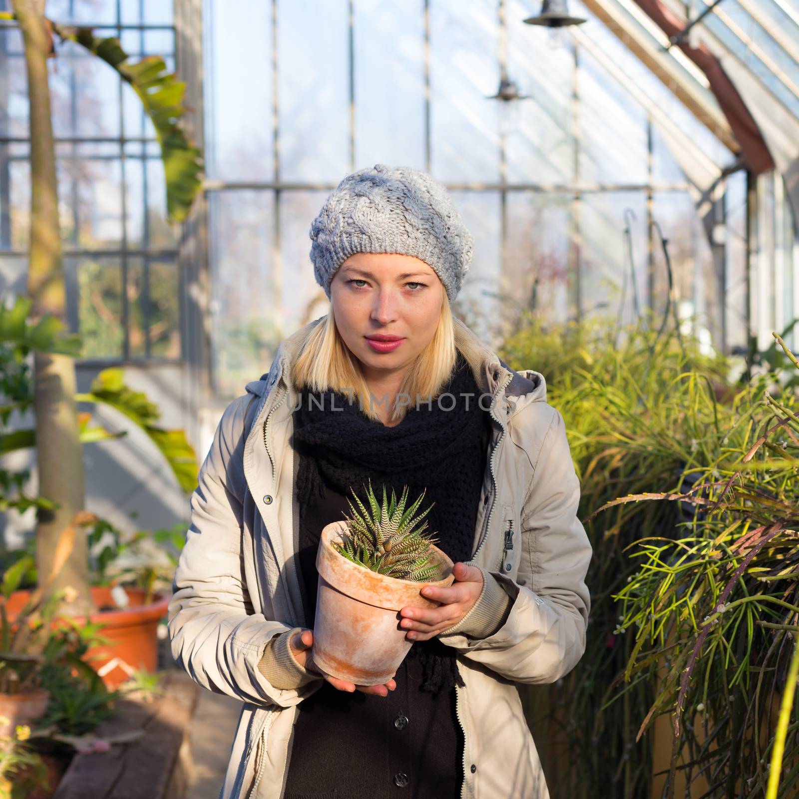 Florists woman working in greenhouse.  by kasto