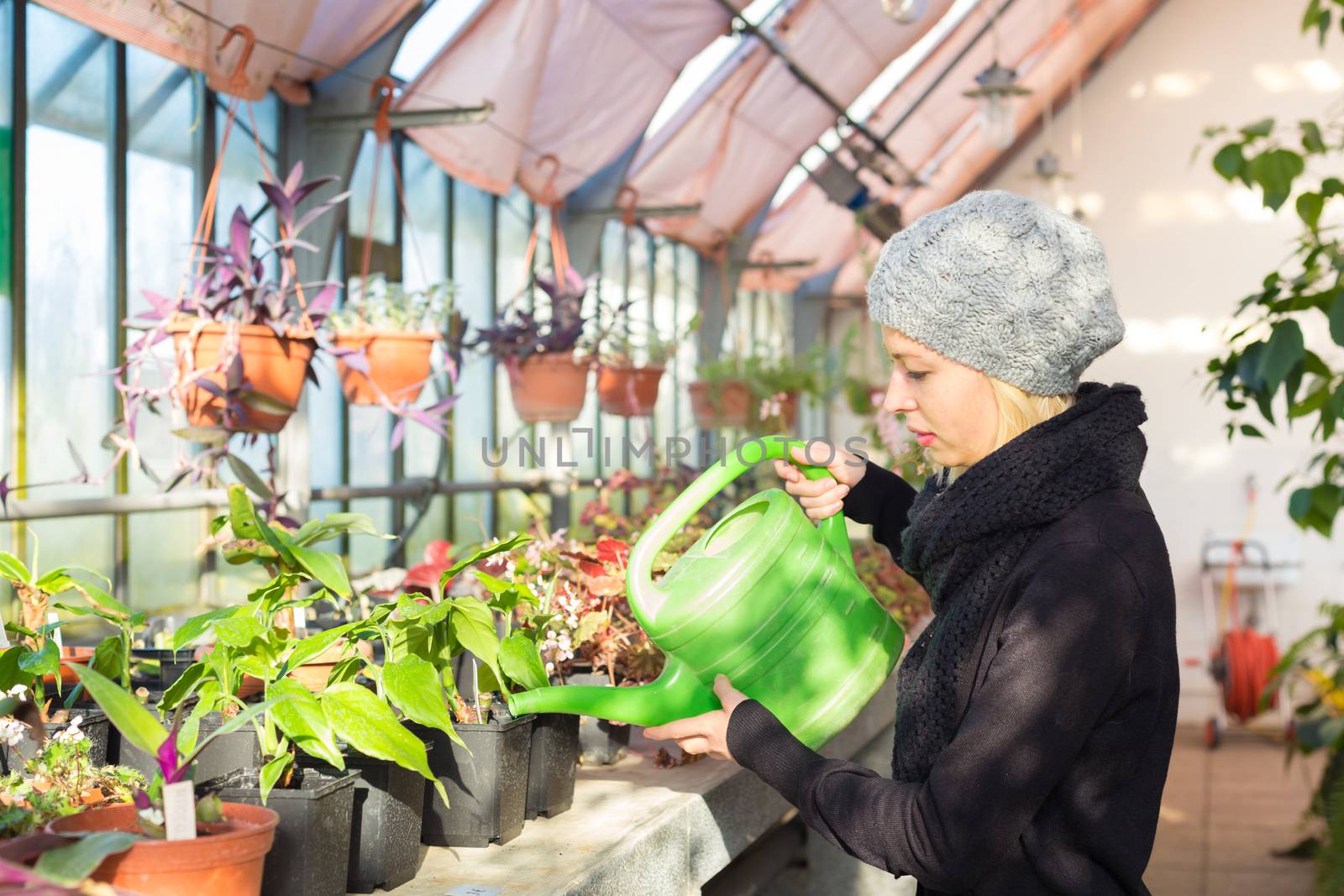 Portrait of florists woman working with flowers in a greenhouse holding a watering can in her hand. Small business owner.