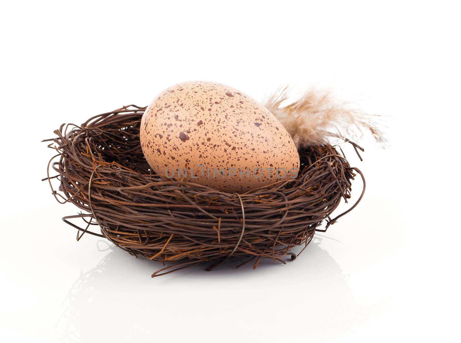 Easter egg in birds nest isolated on white background by motorolka