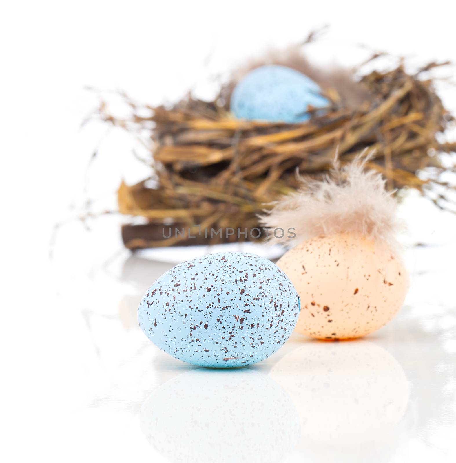 Easter eggs in bird nest isolated on white background