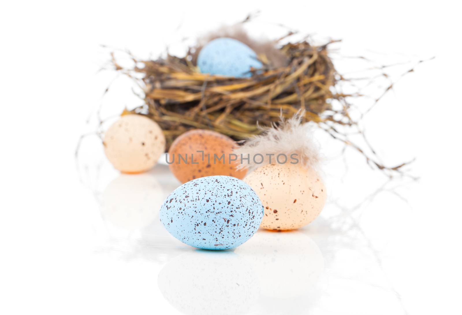 Easter eggs in bird nest isolated on white background by motorolka