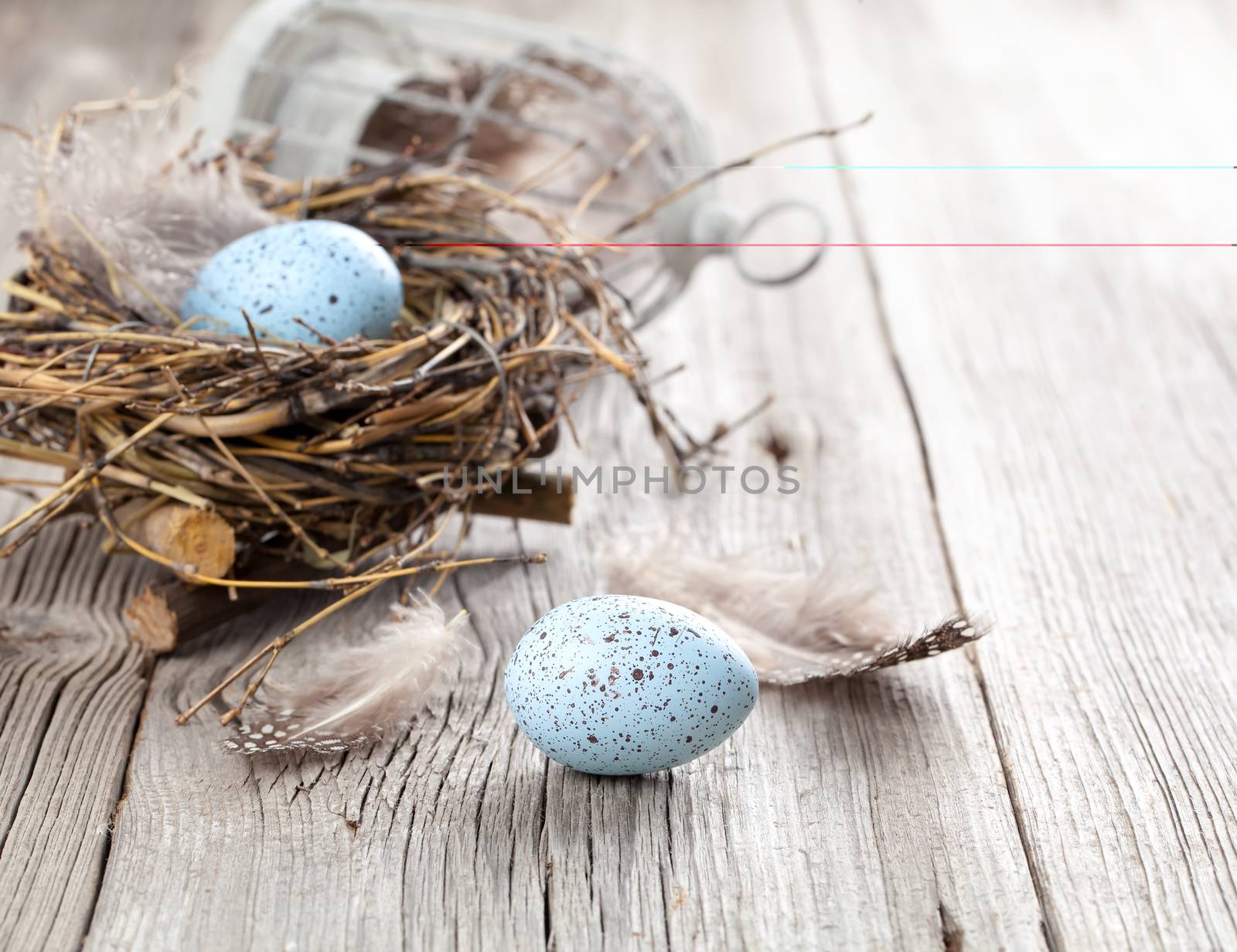 easter eggs on white wooden background