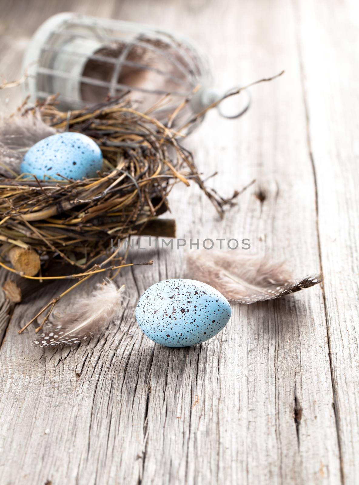 easter eggs on white wooden background