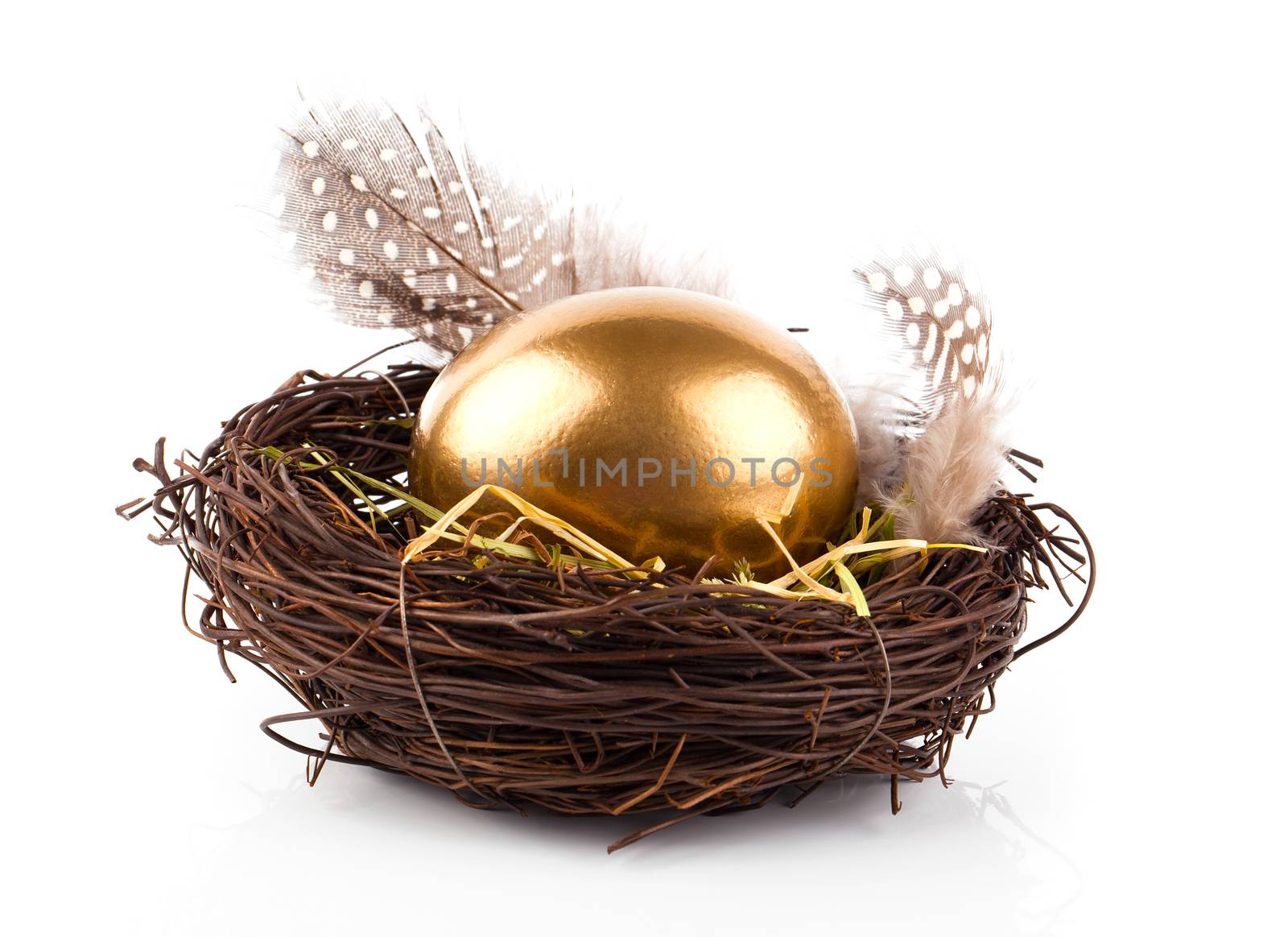 Golden egg in nest on white background by motorolka