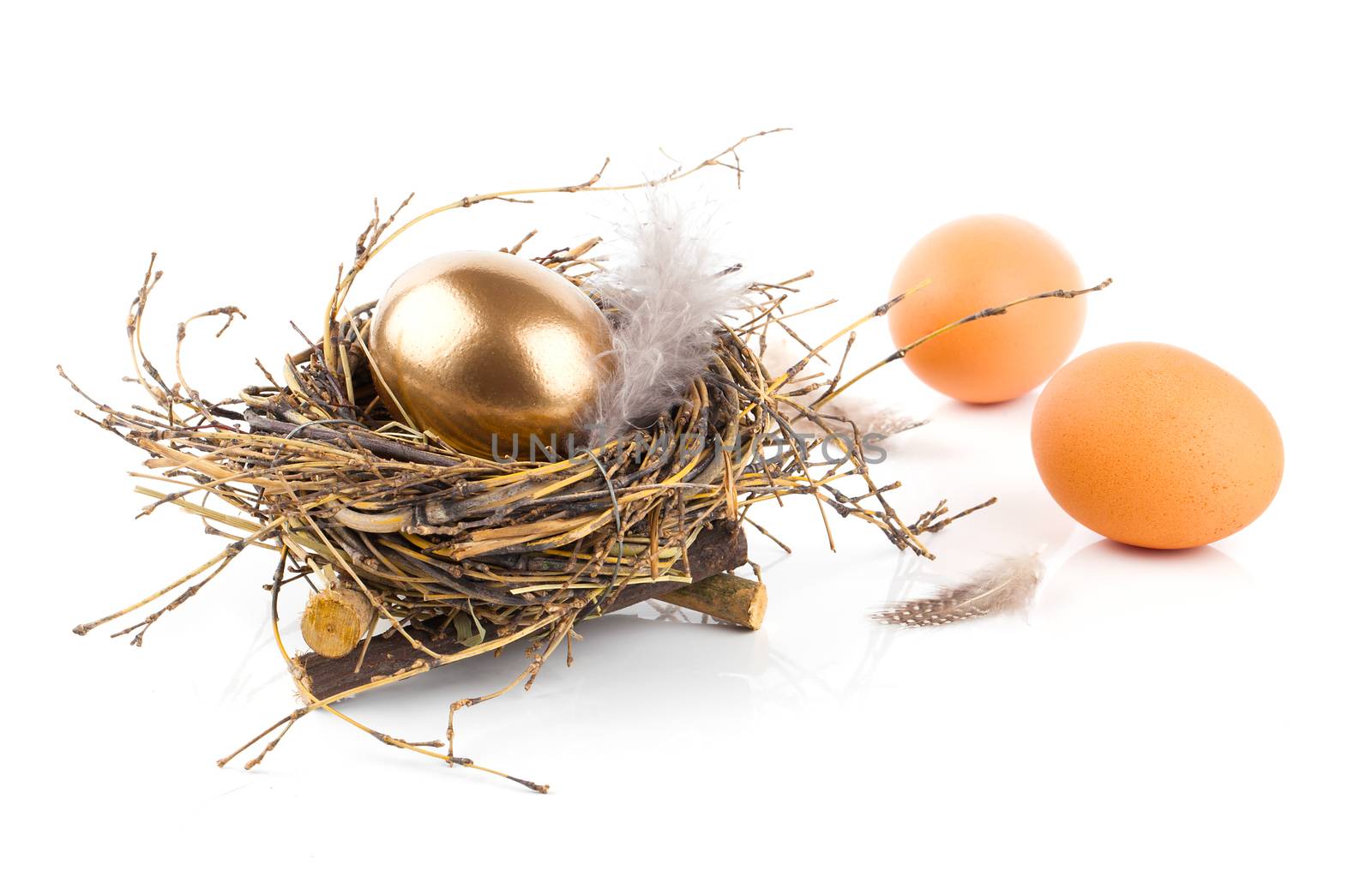 Golden egg in nest on white background by motorolka