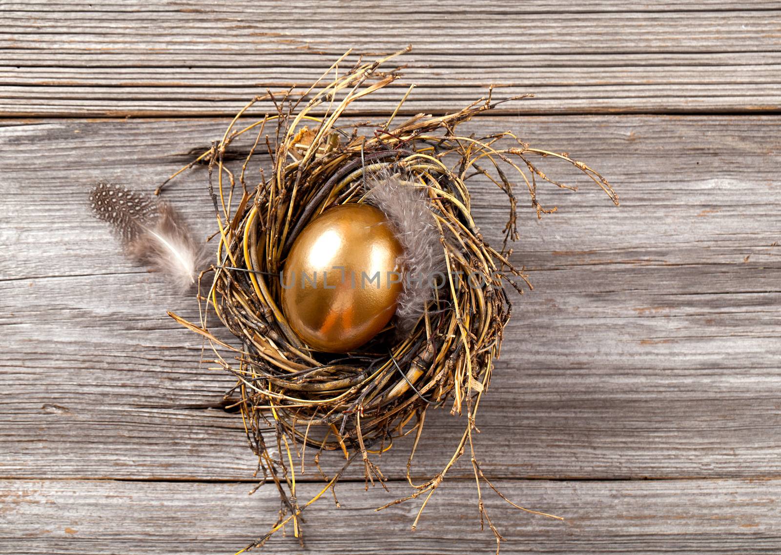 Golden egg in nest on dark vintage wooden background