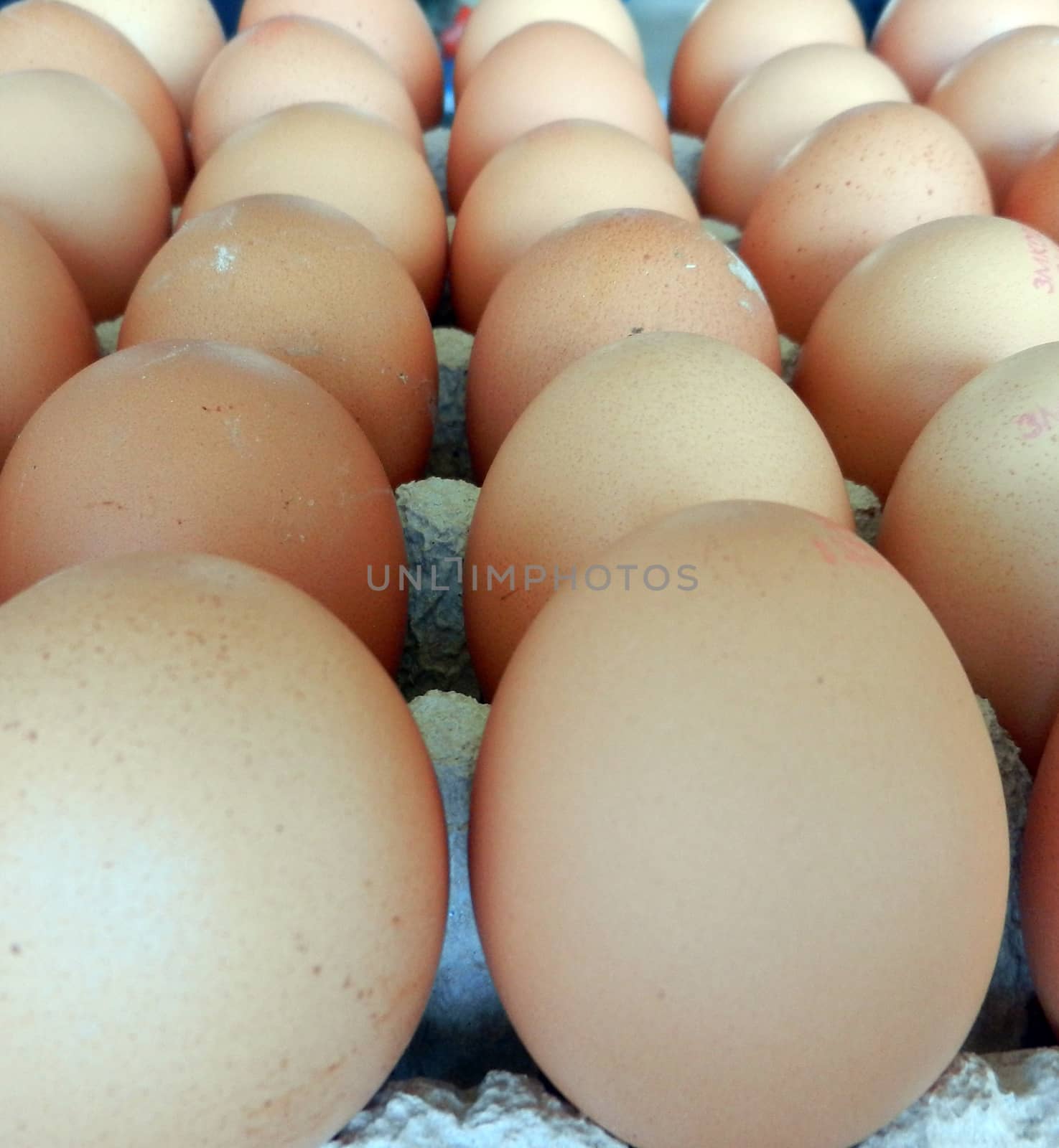               picture of  fresh eggs  in box for sale at a market                 