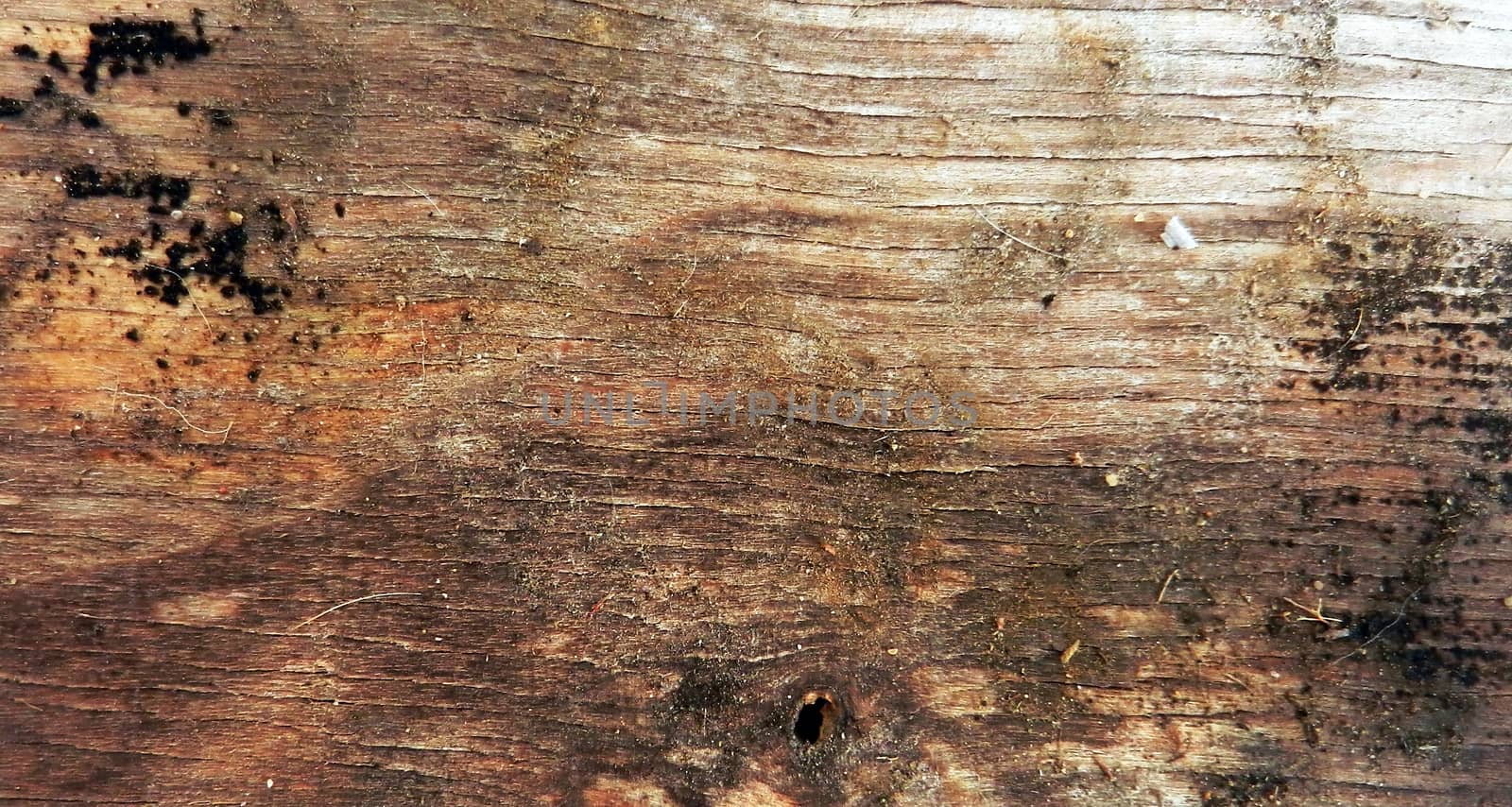 pic of old wooden background, texture of a plate