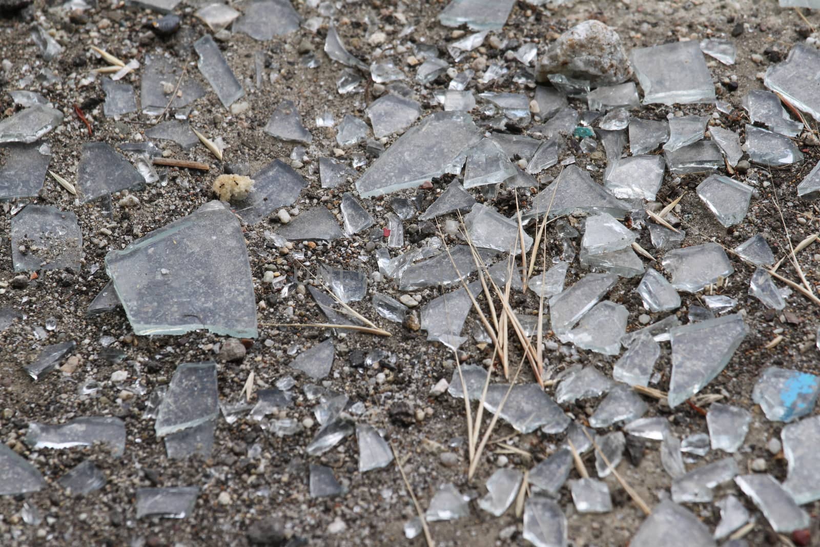 Durty old glass shattered on the ground.