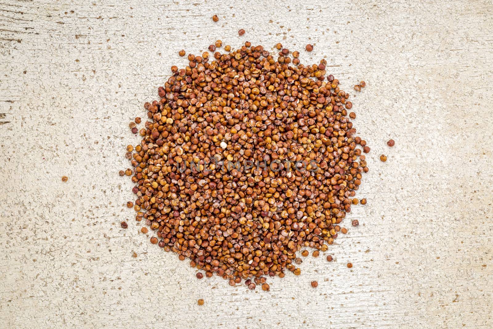 gluten free red quinoa grain - top view against rustic white painted barn wood