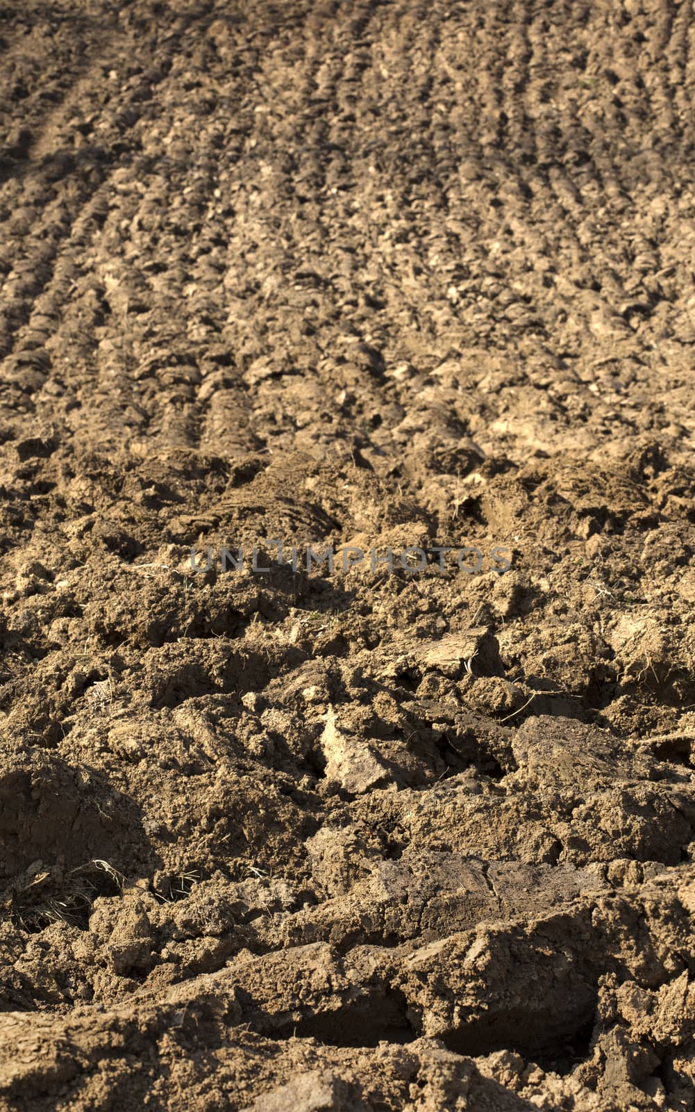 Cultivated land with a plow.