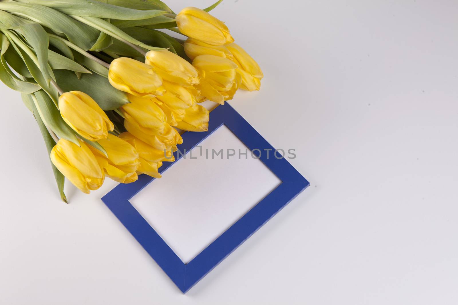 Bouquet of yellow tulips with blue photo frame, nice background for congratulations by mcherevan