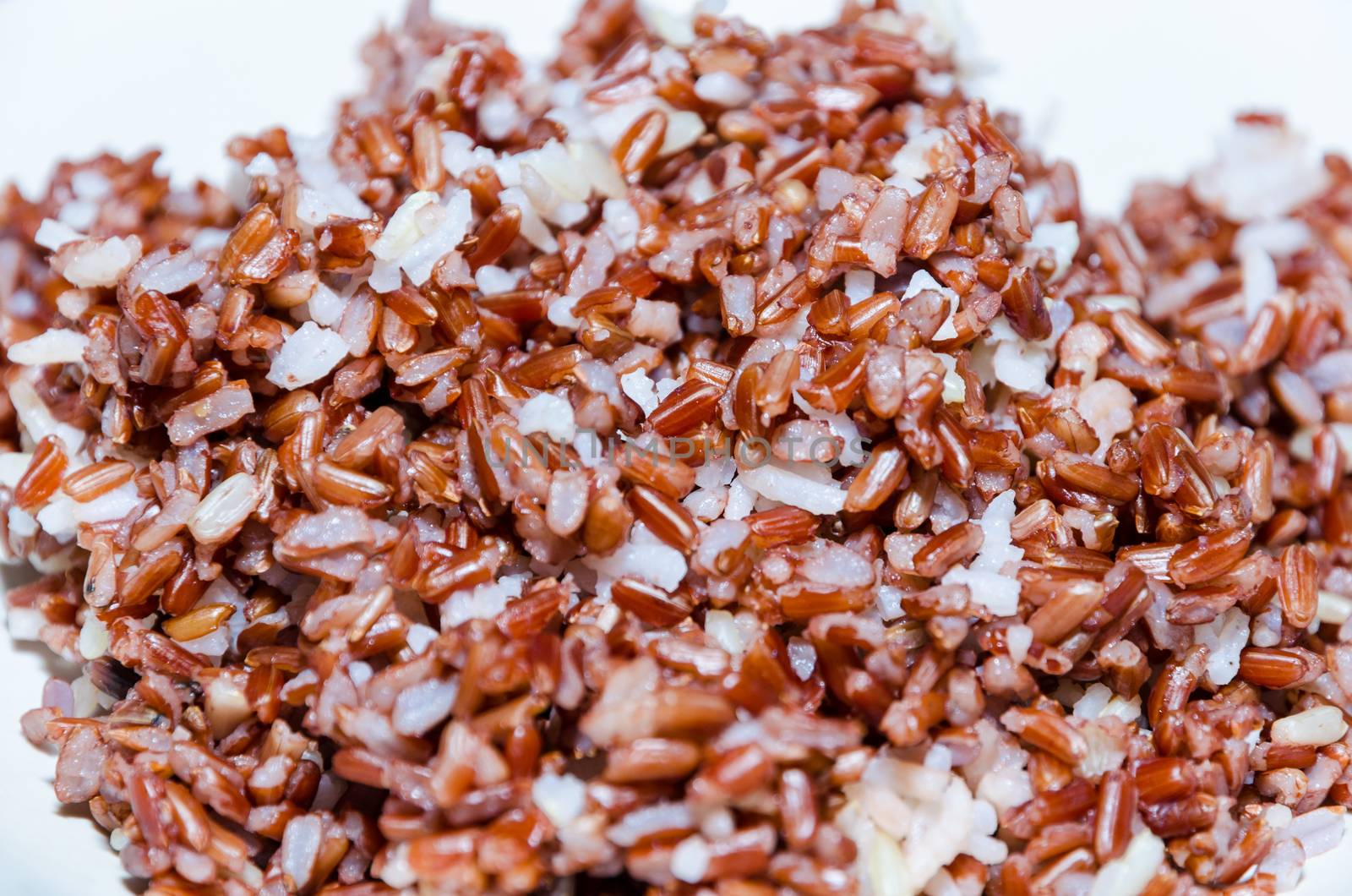 Close up cooked Brown Rice on a white plate.