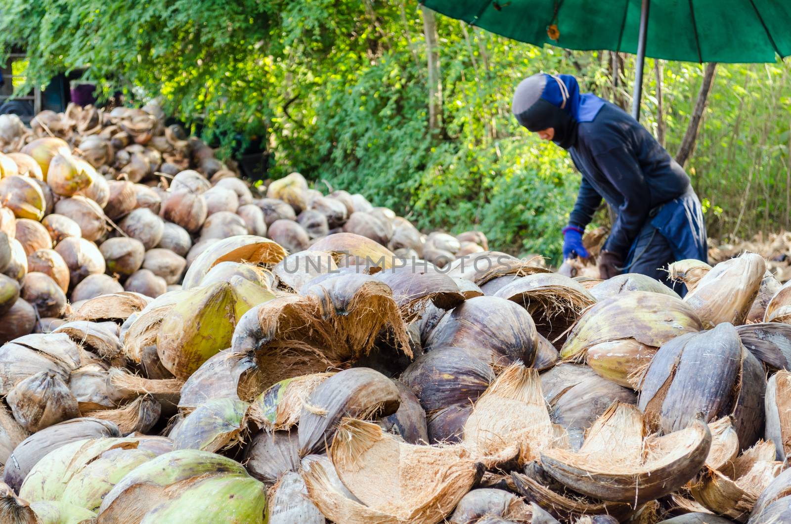 Farmer cutting coconut shell for processing agricultural products at a small factory in Thailand.
