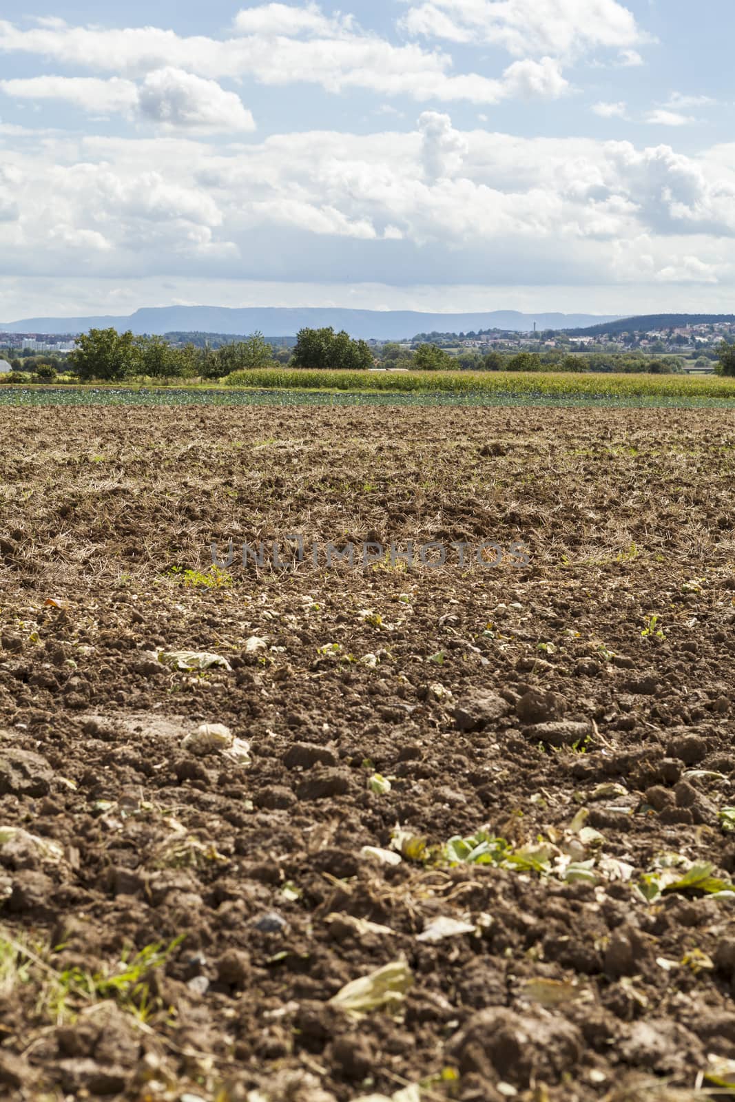 Harvested potato field with rotovated earth by juniart