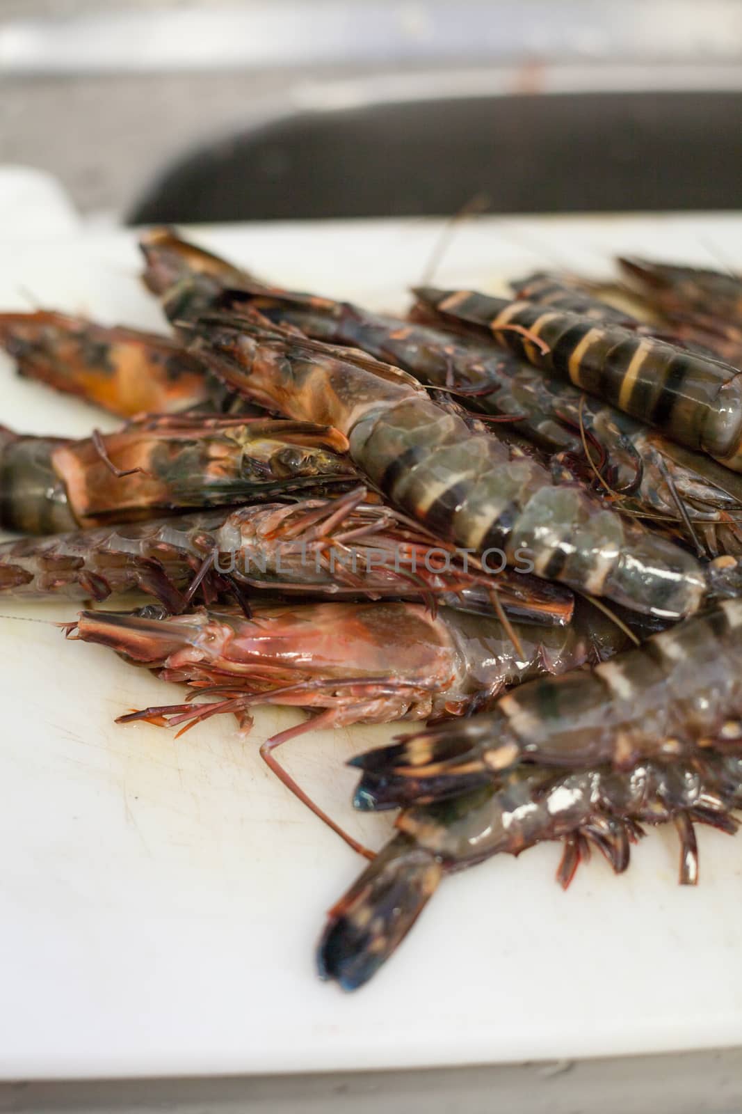 Fresh tiger prawns waiting on a plate in a kitchen to be cooked in a delicious gourmet seafood meal