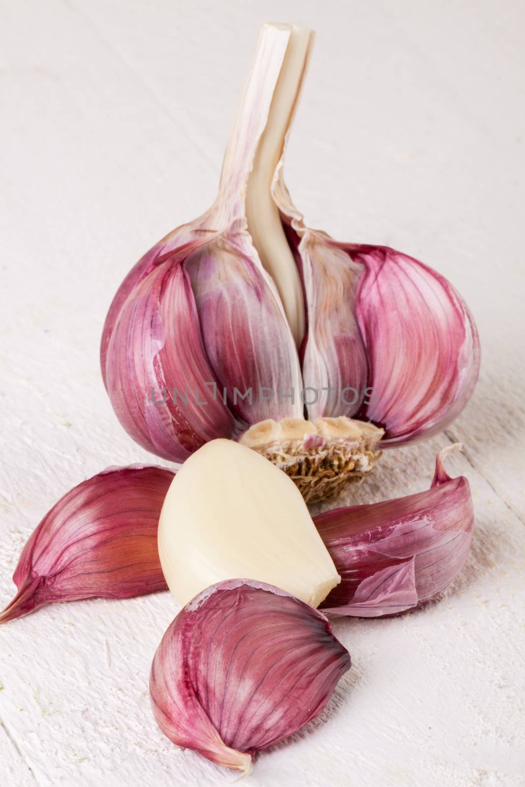 Fresh uncooked garlic bulb with loose cloves with one clove cut through lengthwise to show the texture, on a white background