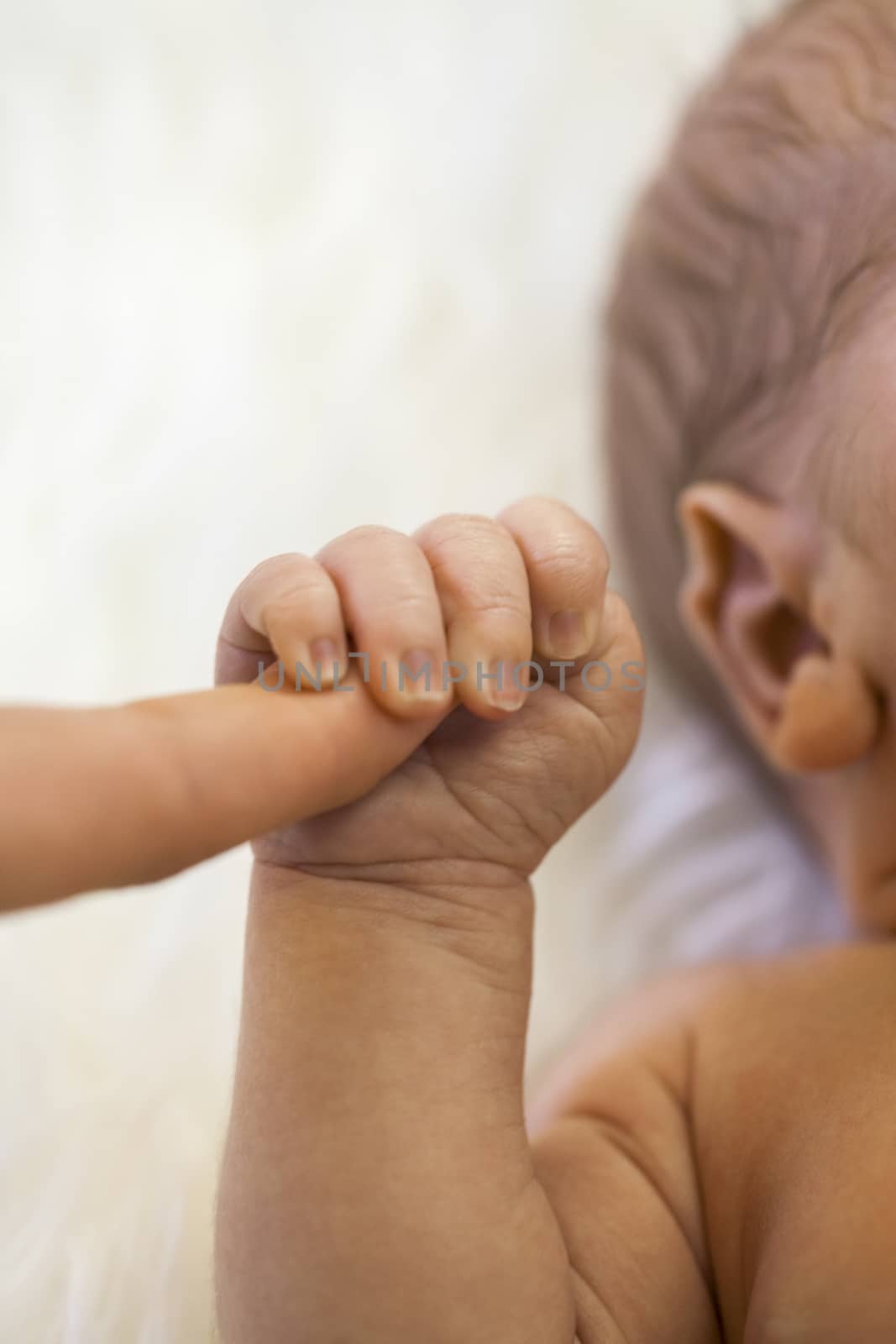 Tender love of a newborn infant with a closeup view of the hand of a tiny neonate clutching the finger of its parent in a show of trust, dependency and love