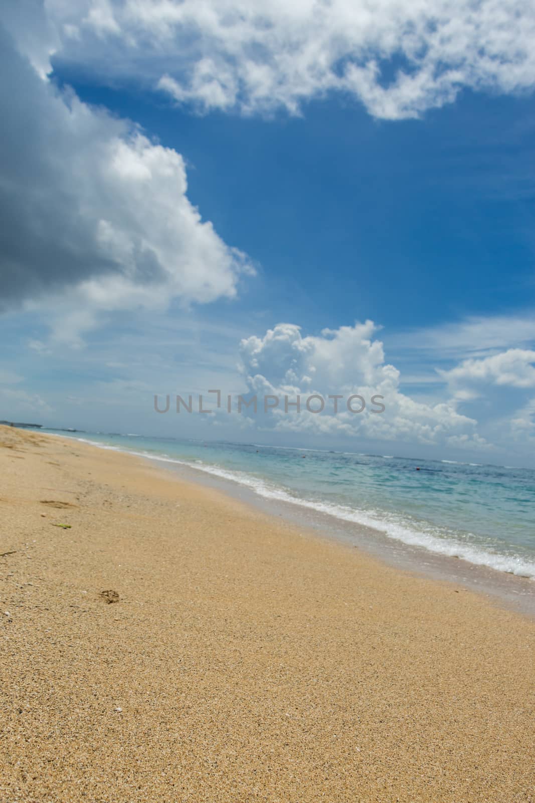 Beautiful tropical beach with lush vegetation fringing golden sand and a tranquil ocean with gentle surf breaking on the beach