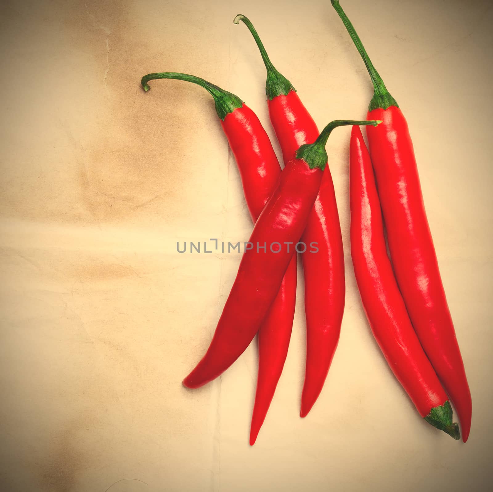 chili pepper on a vintage paper surface background, instagram image style