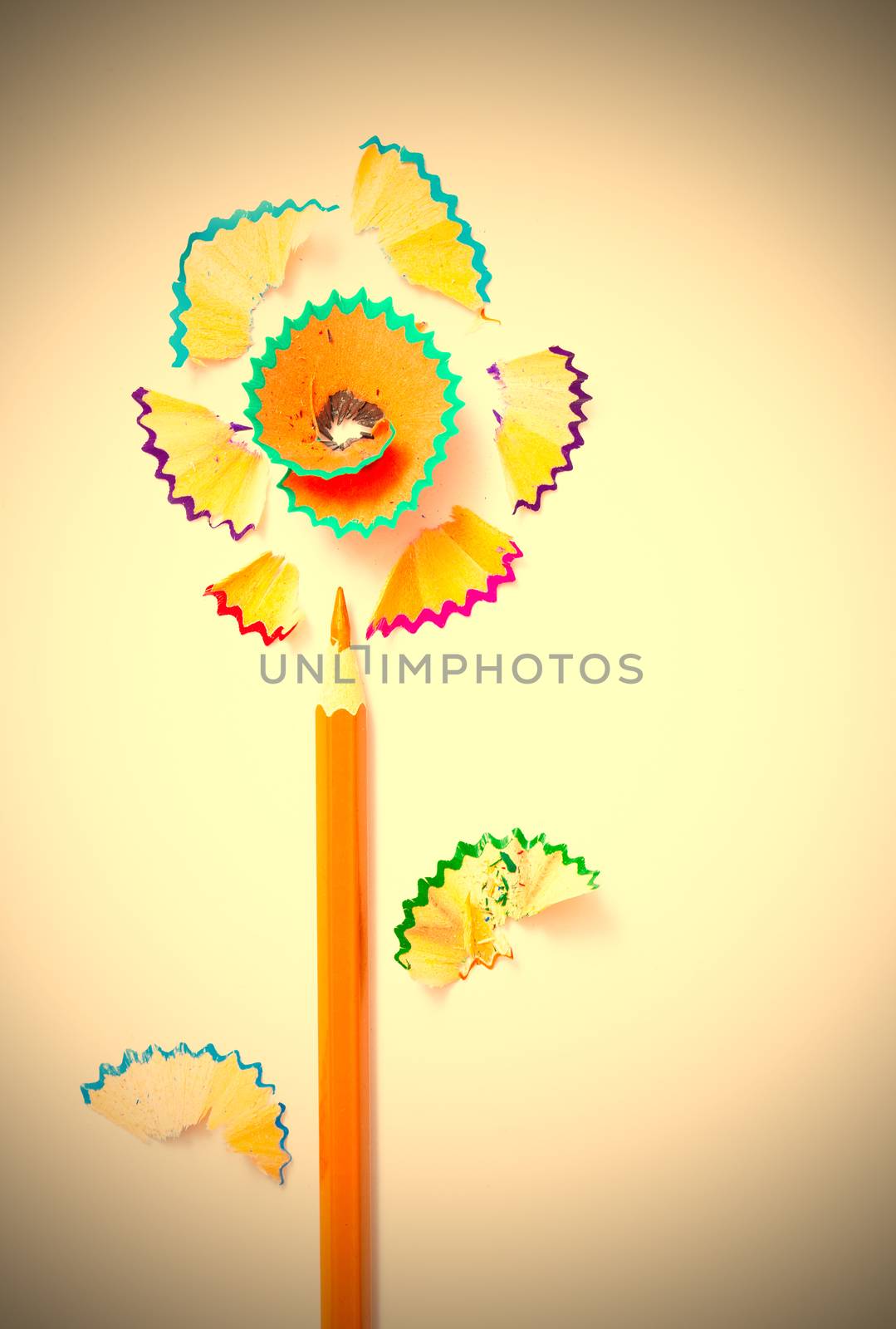 pencil flower on white by Astroid